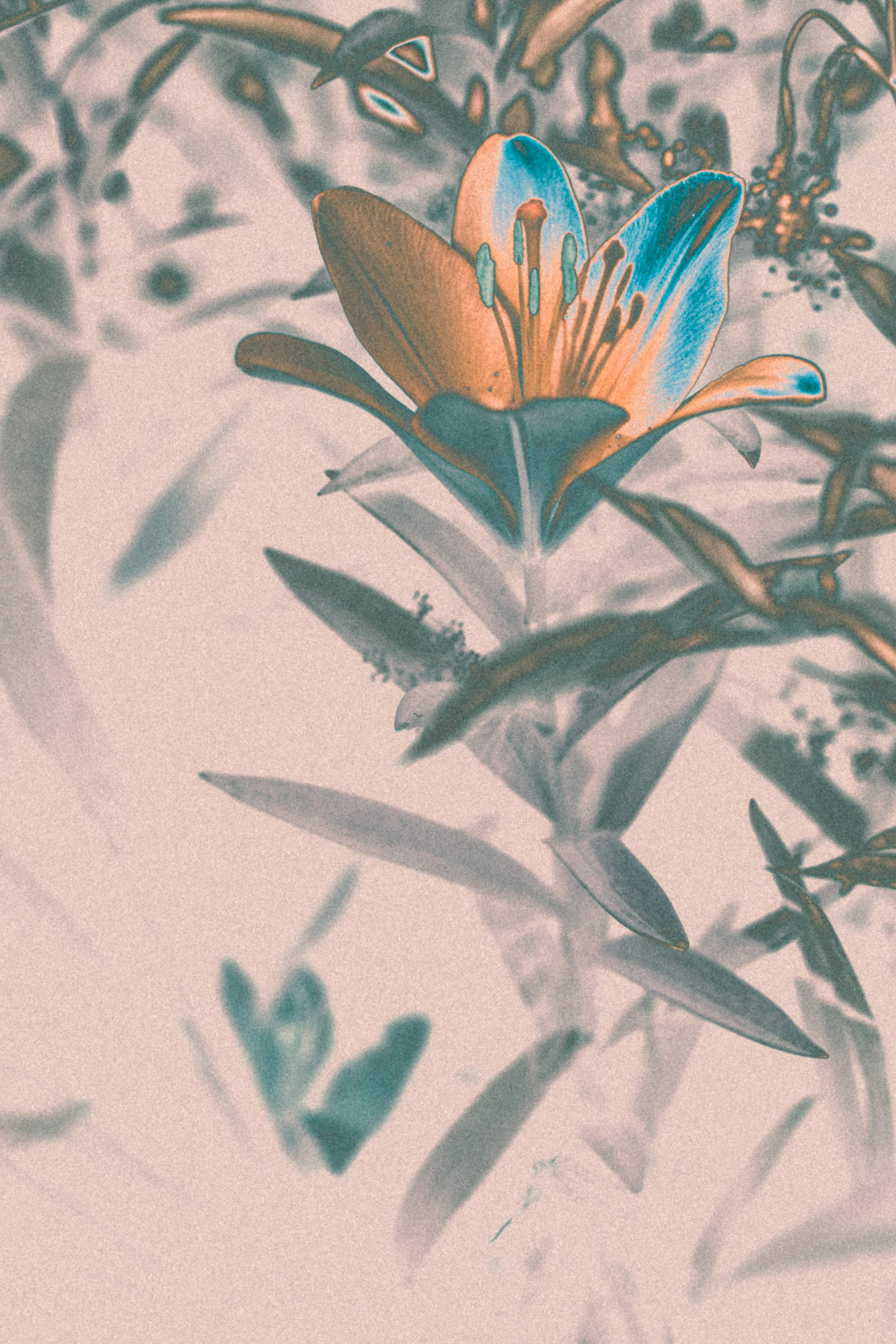 NON-EXISTENT FLOWERS. Фотограф Евгений Чащихин RGB АРХИТЕКТОР в Перми