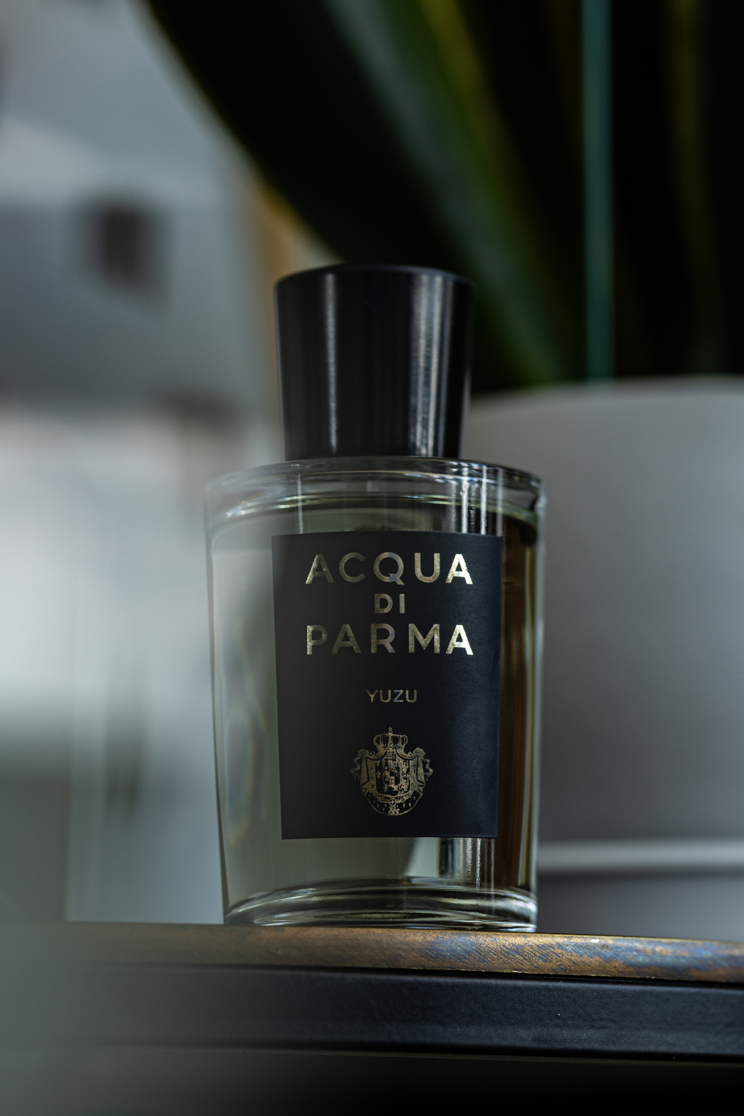 Предметная съемка. Предметный и фуд-фотограф Саратов | Москва