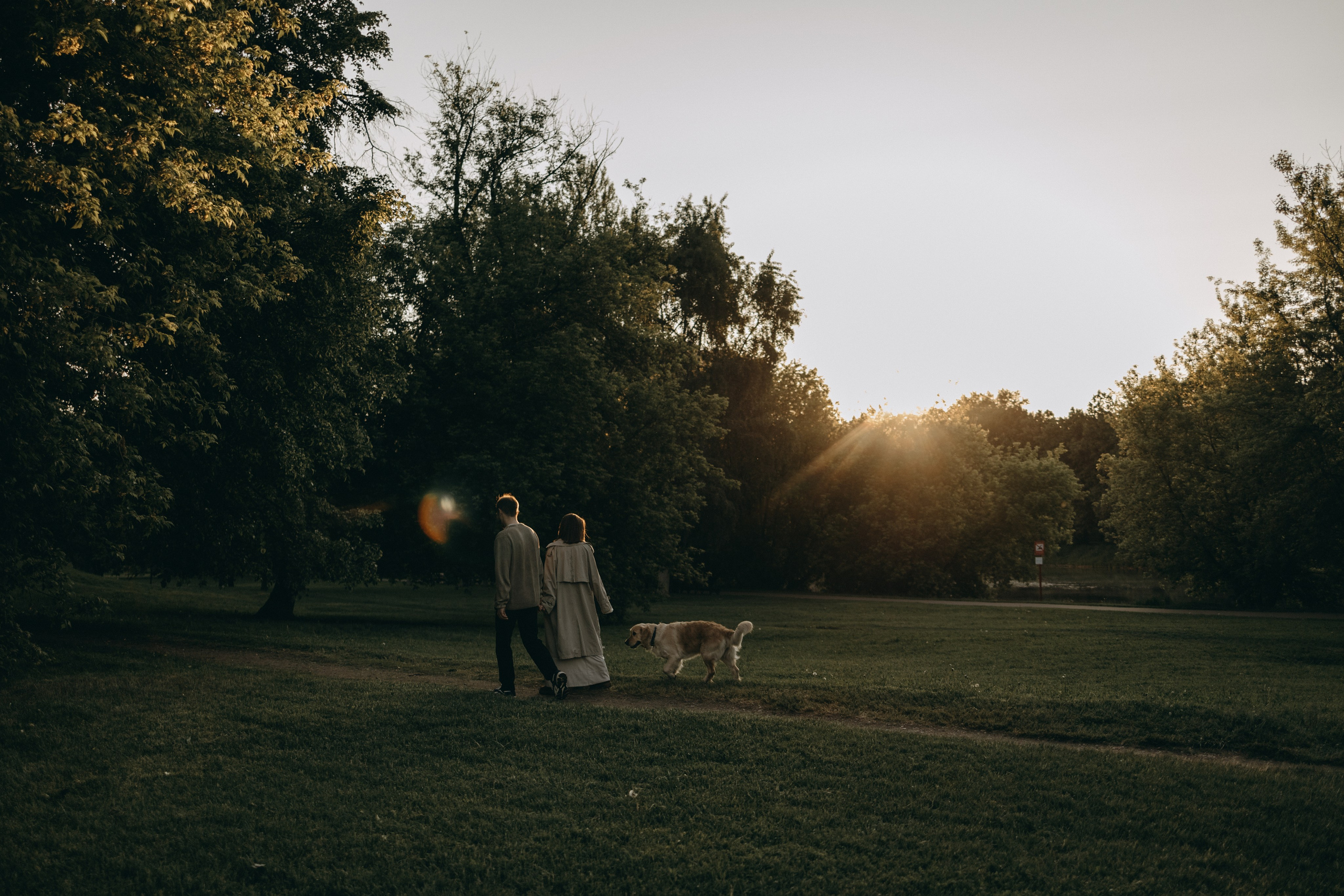 Пенни и ребята. Фотограф — Анималист | Санкт-Петербург