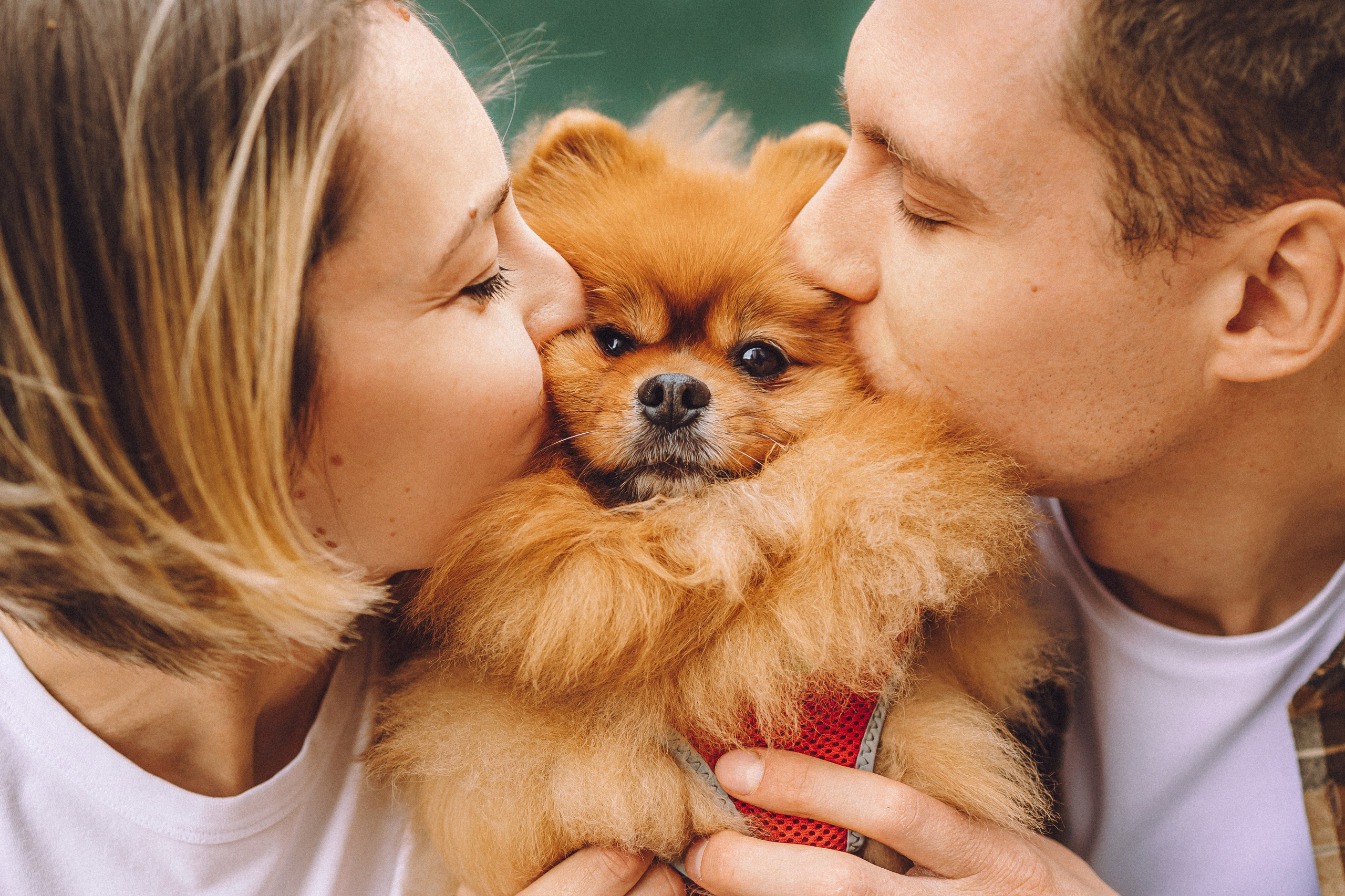 Лорик и его семья