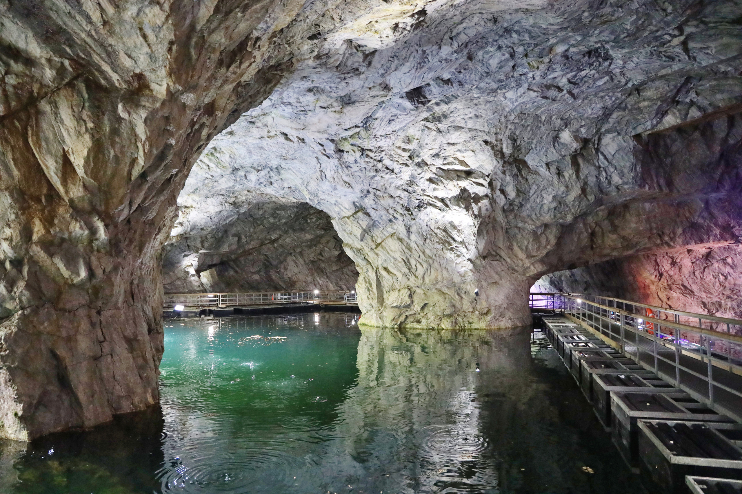 Репортажная съёмка. Профессиональный фотограф Светлана Протасова