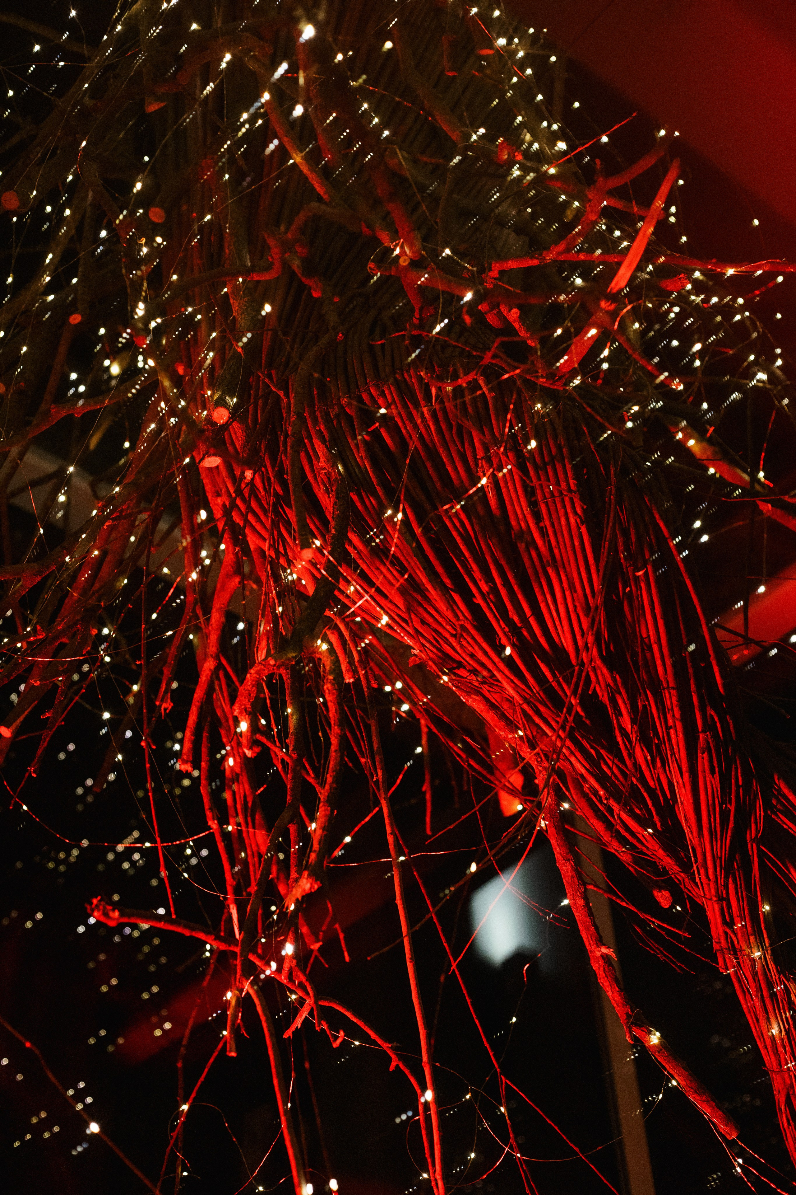 Ресторану ЭХО 10 ЛЕТ. СВОИ. ФОТООТЧЕТЫ-СОБЫТИЯ-МЕСТА