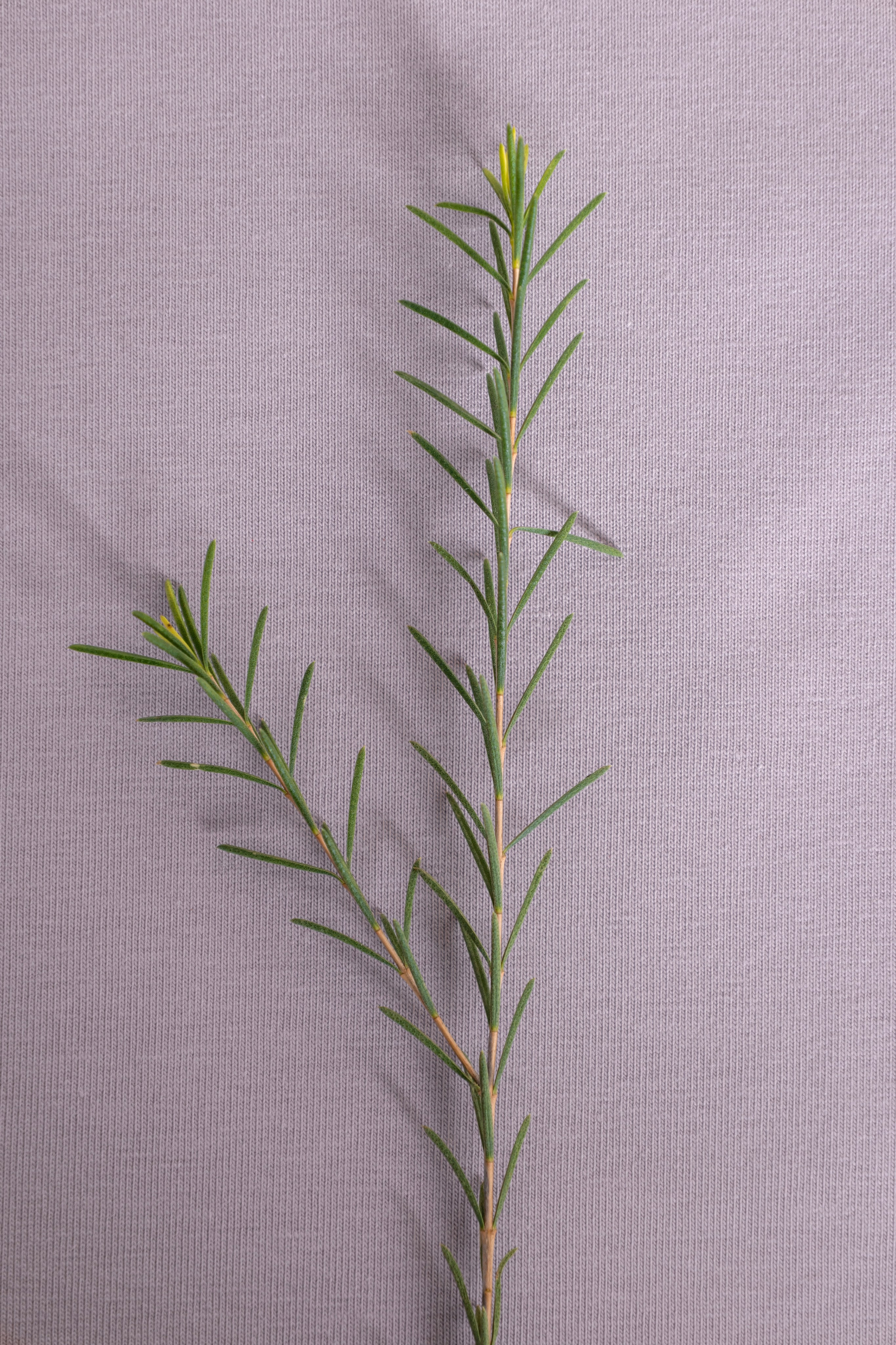 Фотографии изделий из ткани. Предметный фотограф в Москве и Московской области