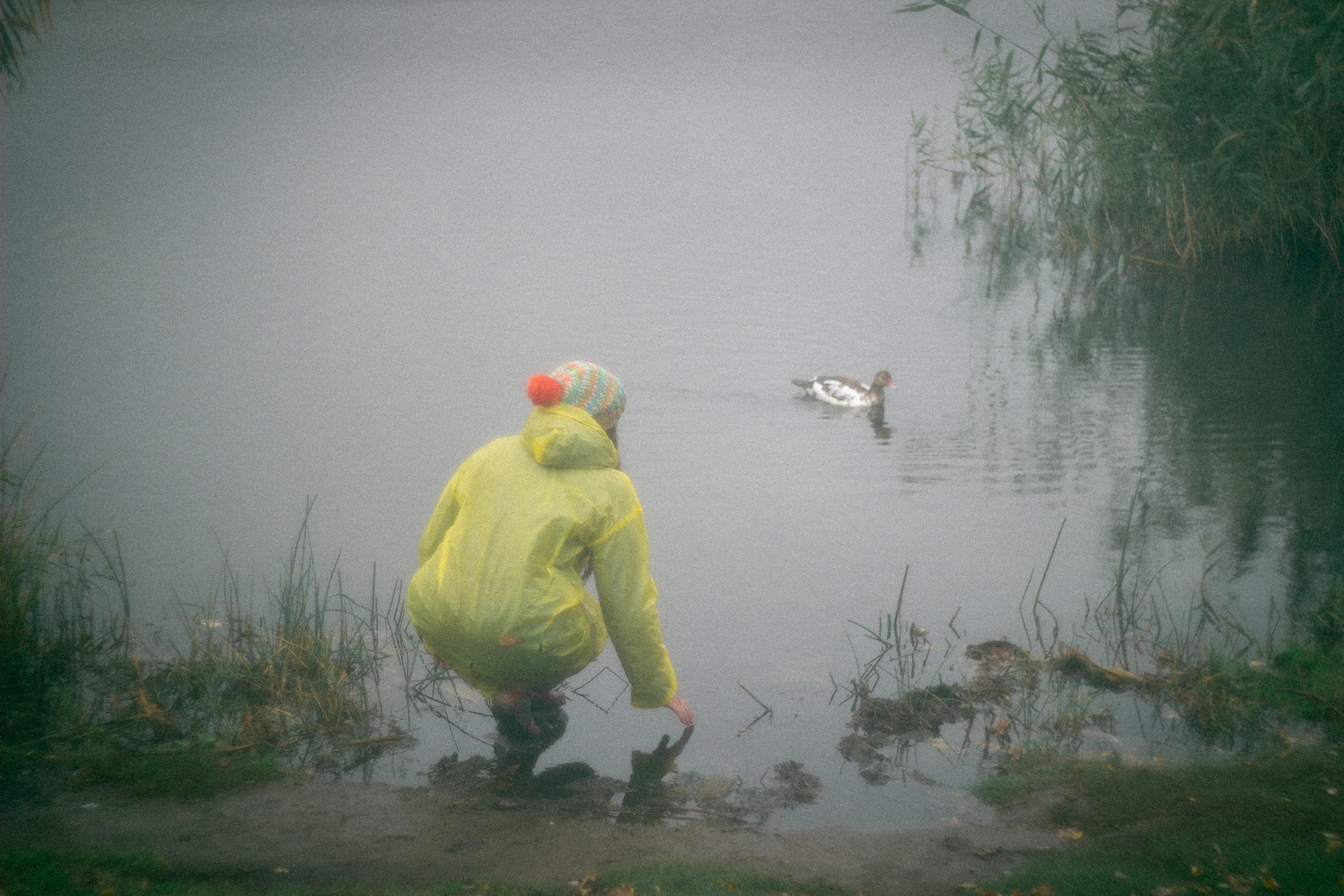 Туманная осень. • Фотограф Александра Светозар Алчевск •