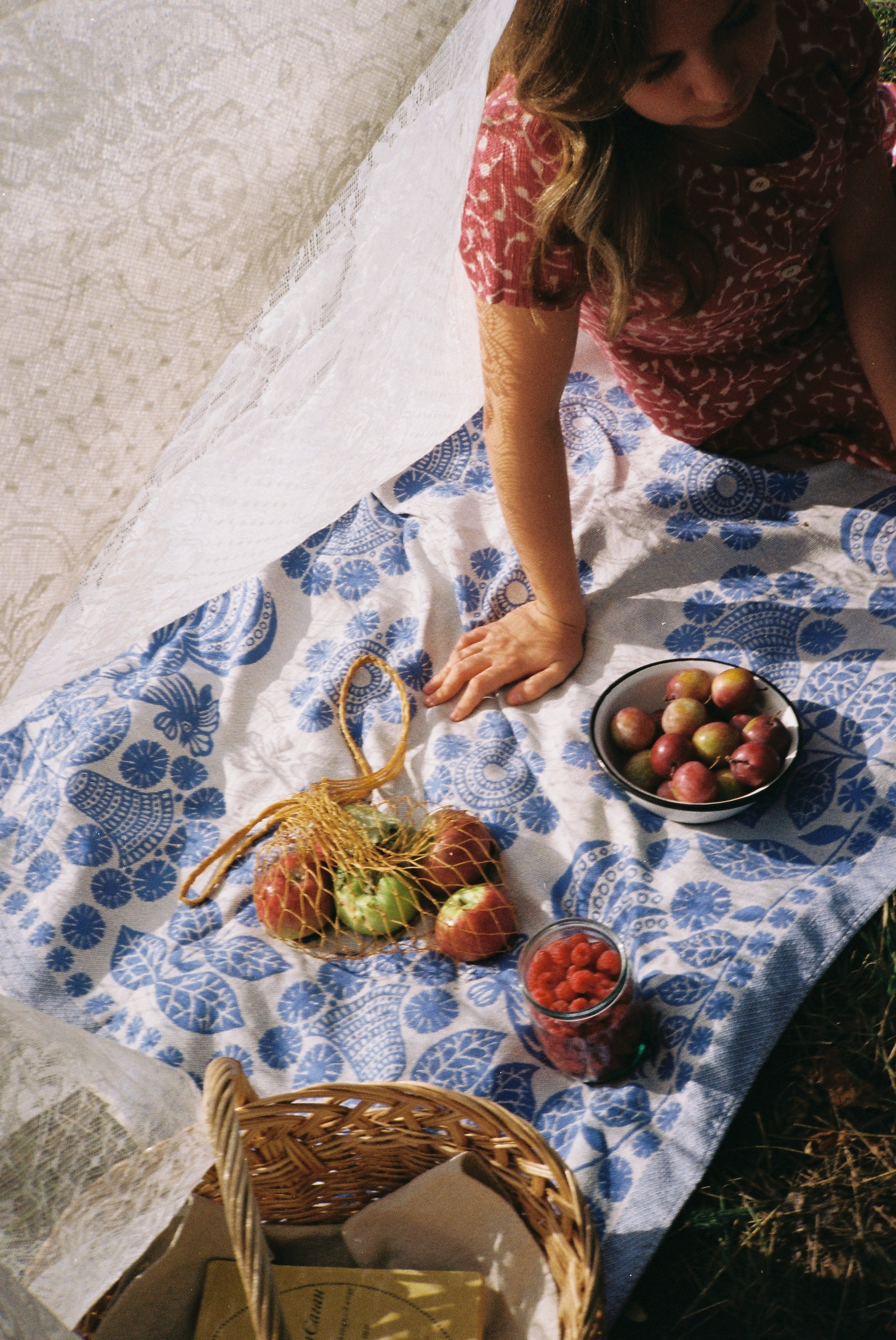 Пикник. • Фотограф Александра Светозар Алчевск •