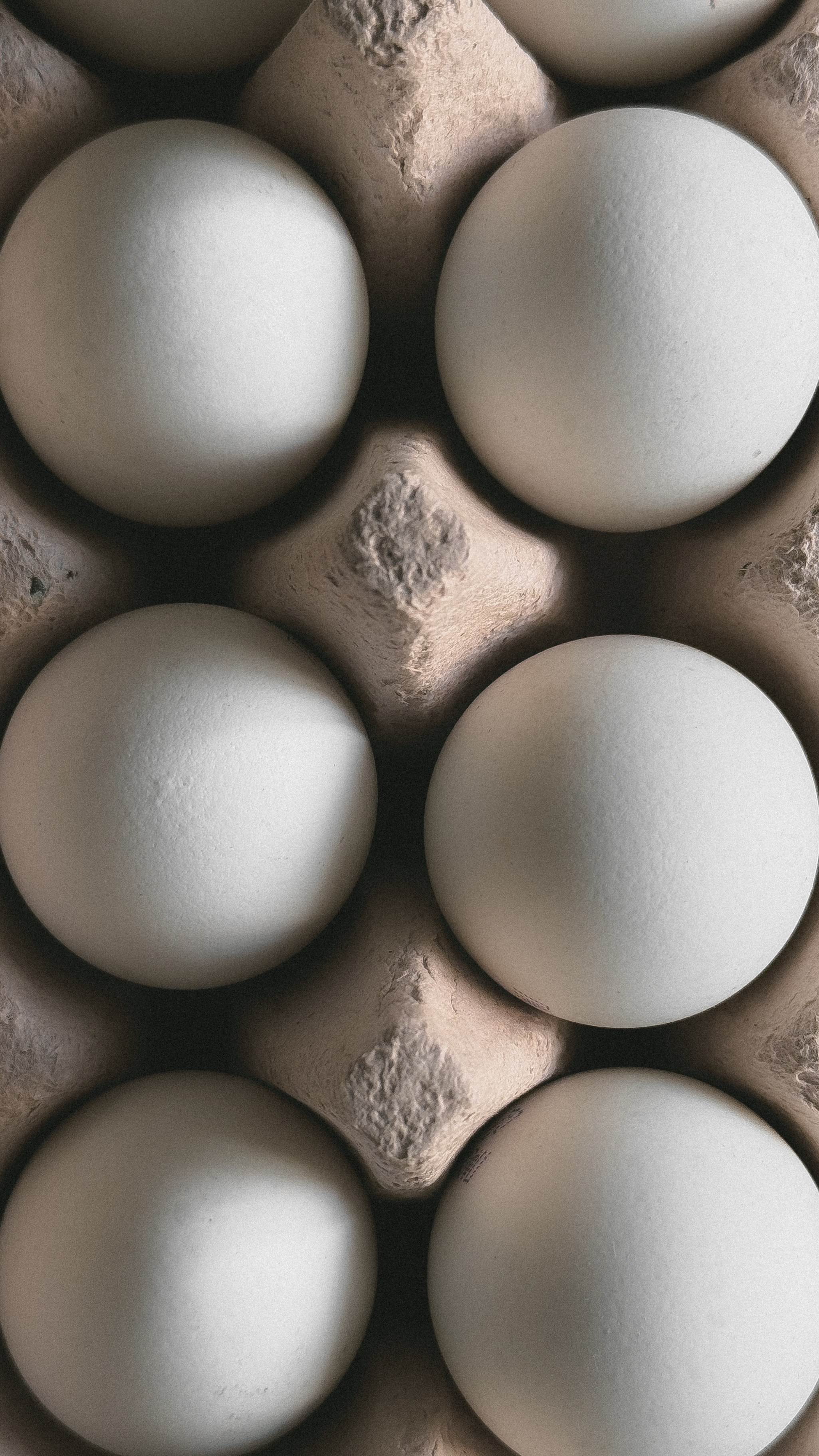 Все вокруг. Фотограф в Санкт-Петербурге / Красноярске Надежда Самошкина