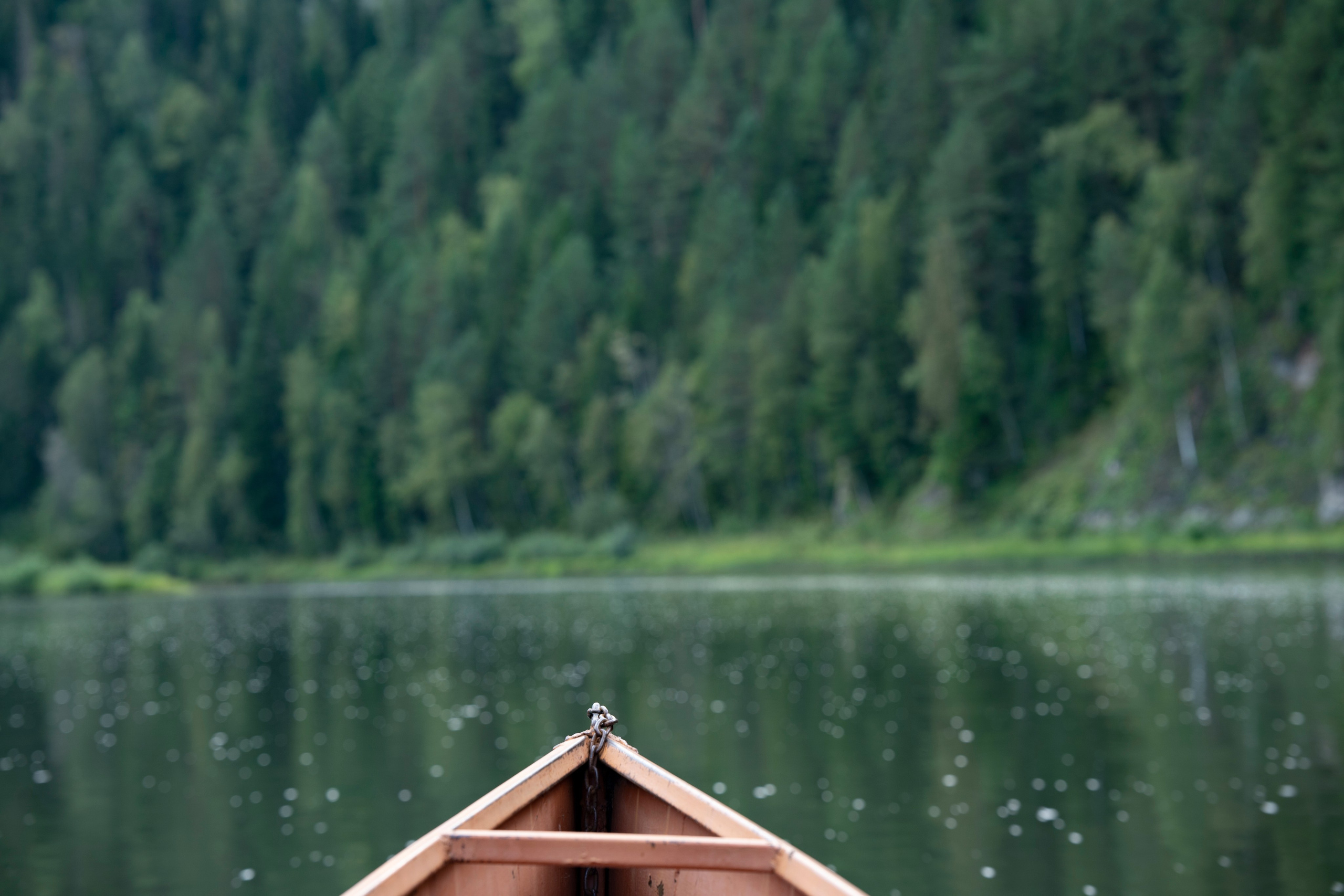 НАД ВОДОЙ. Фотограф Татьяна Андриянова