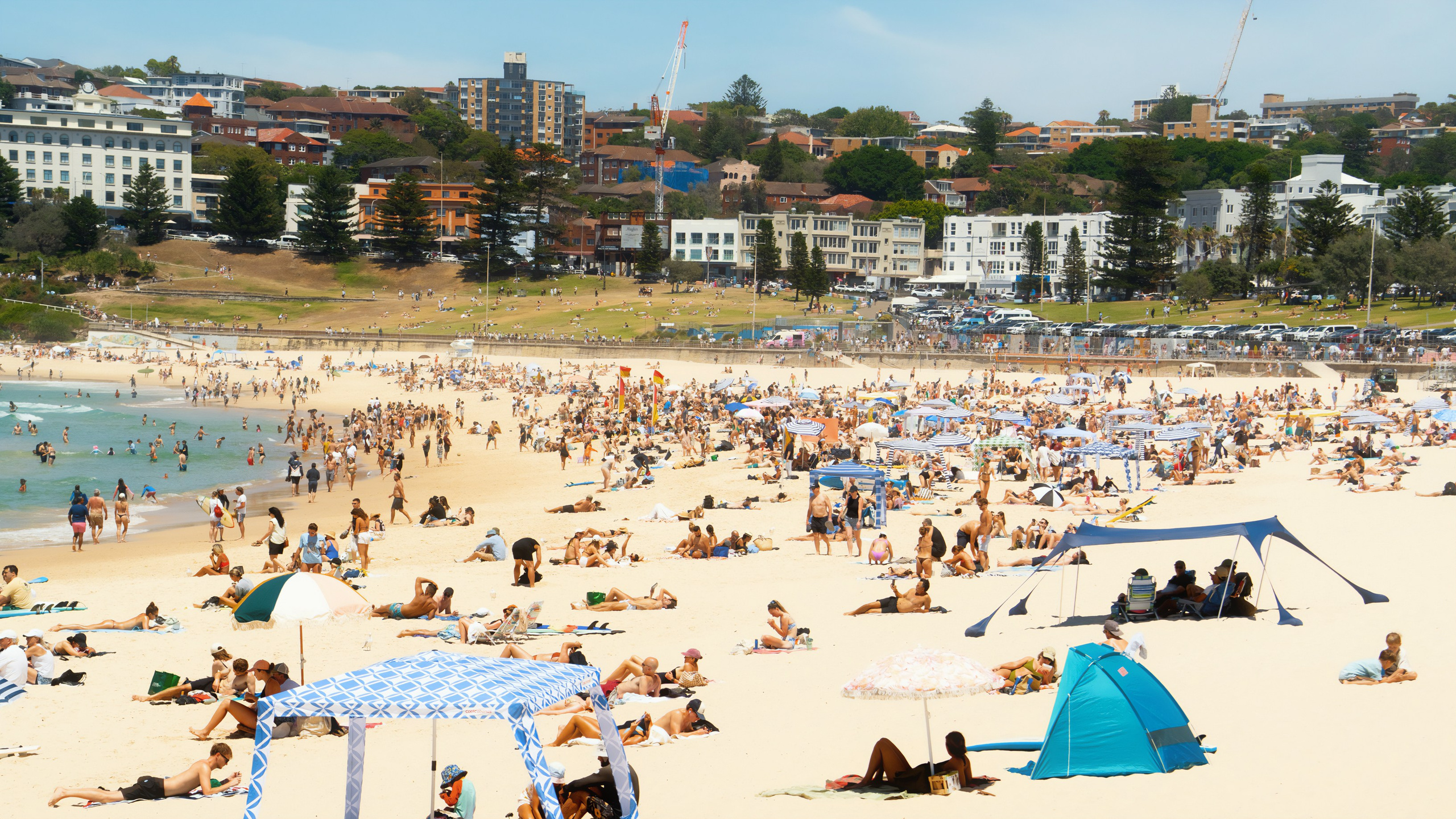 Австралия. Фотограф в Хабаровске. Фотография за 24 часа