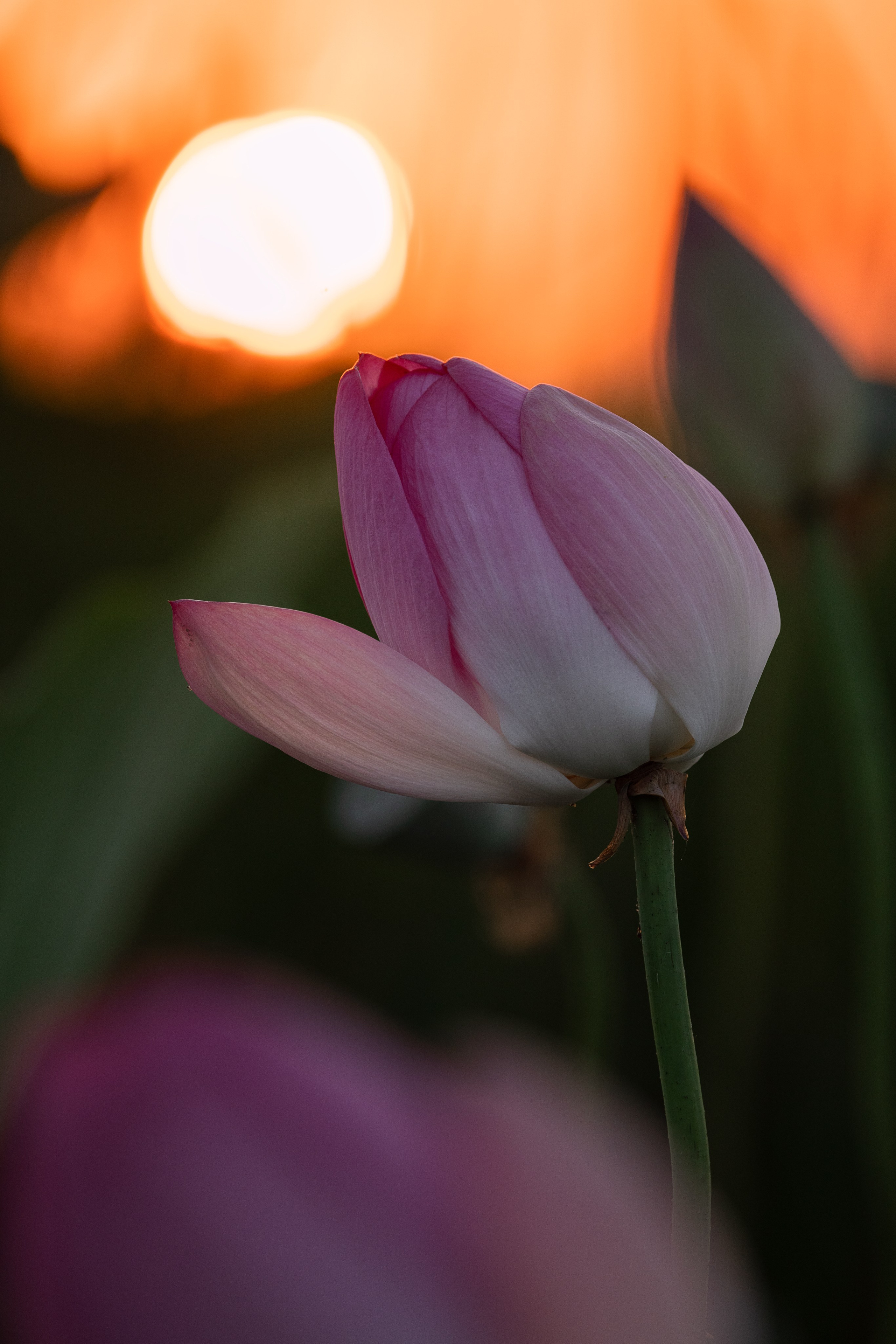 Астраханская область 2025 | Фотограф Дмитрий Купрацевич. Дмитрий Купрацевич профессиональный пейзажный и travel-фотограф