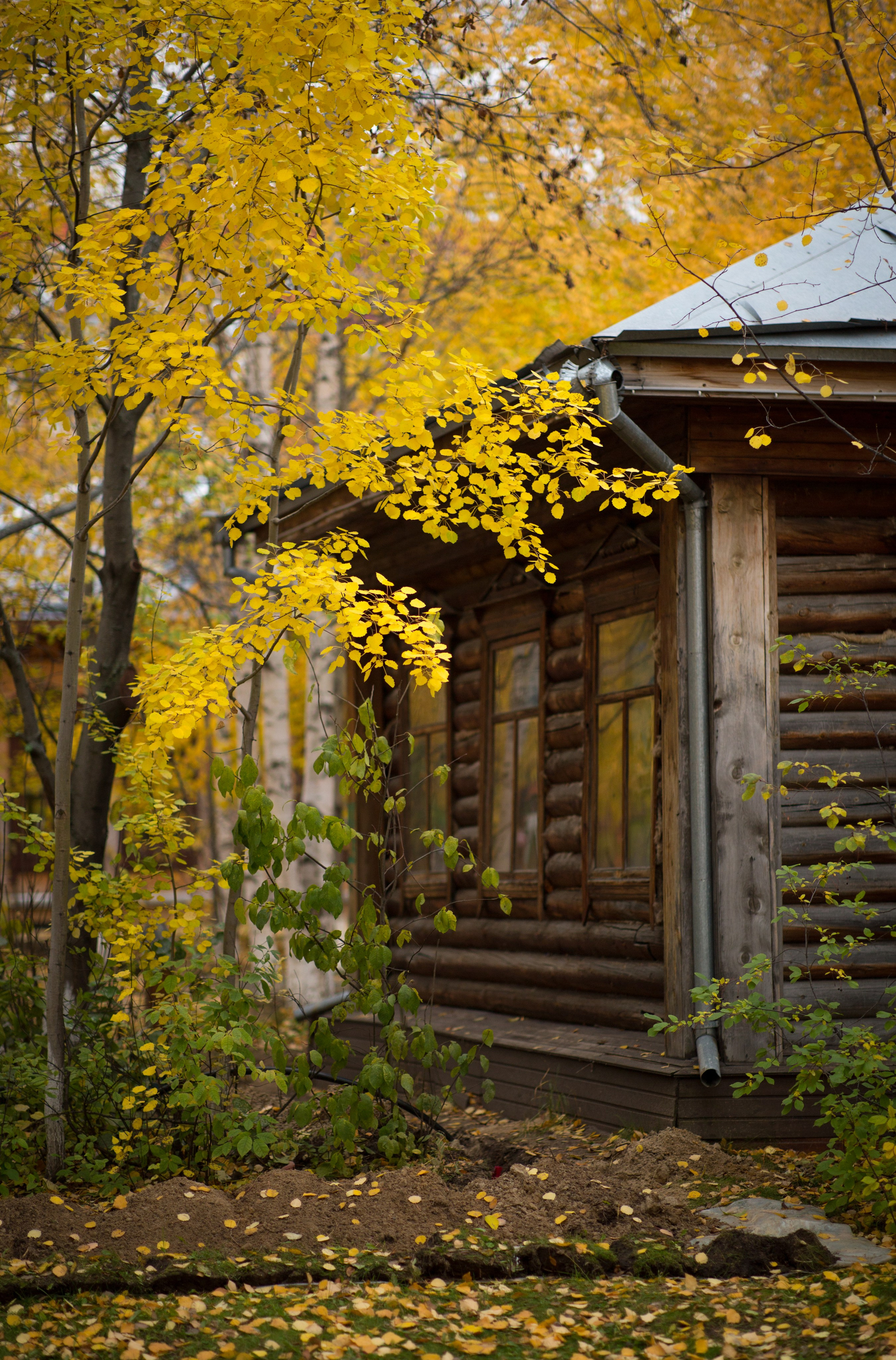 Сургут. Фотограф в г. Сургуте Марина Киприна