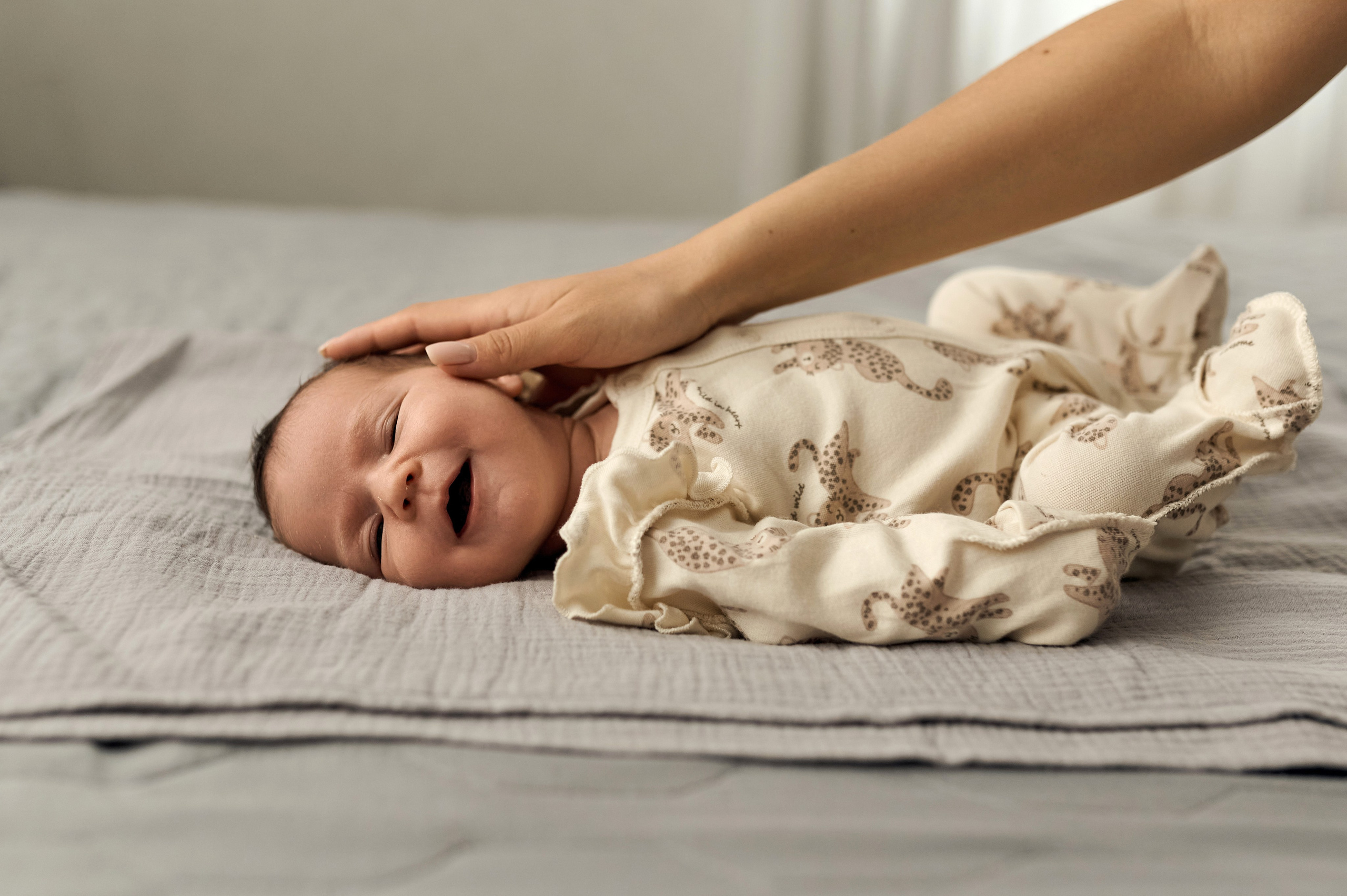 Теона. Свадебный и семейный фотограф Регина Кагарманова