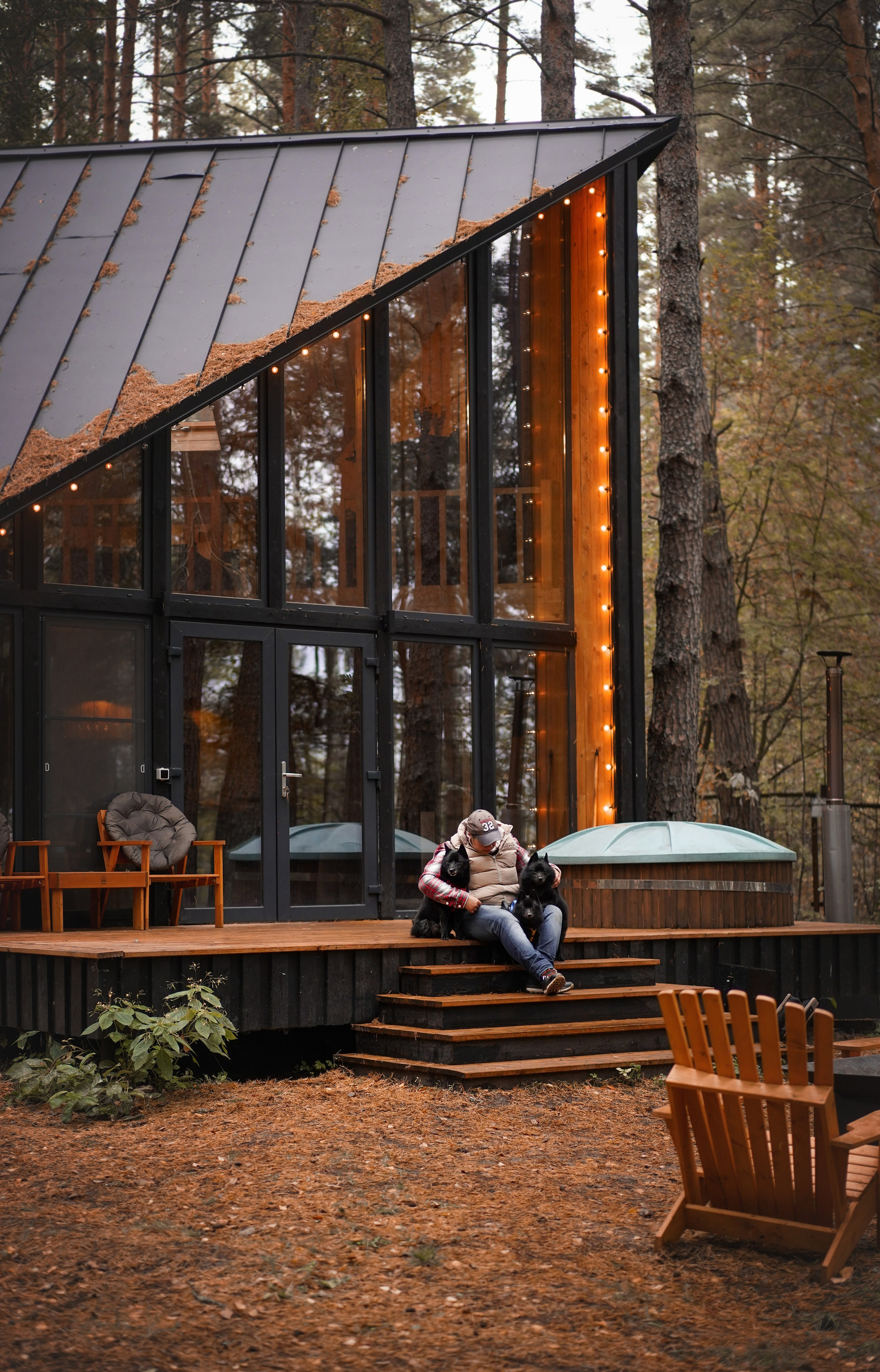 Аня Мишель Арчи и Майкл. Фотограф-анималист в Санкт-Петербурге Яна Мартынова