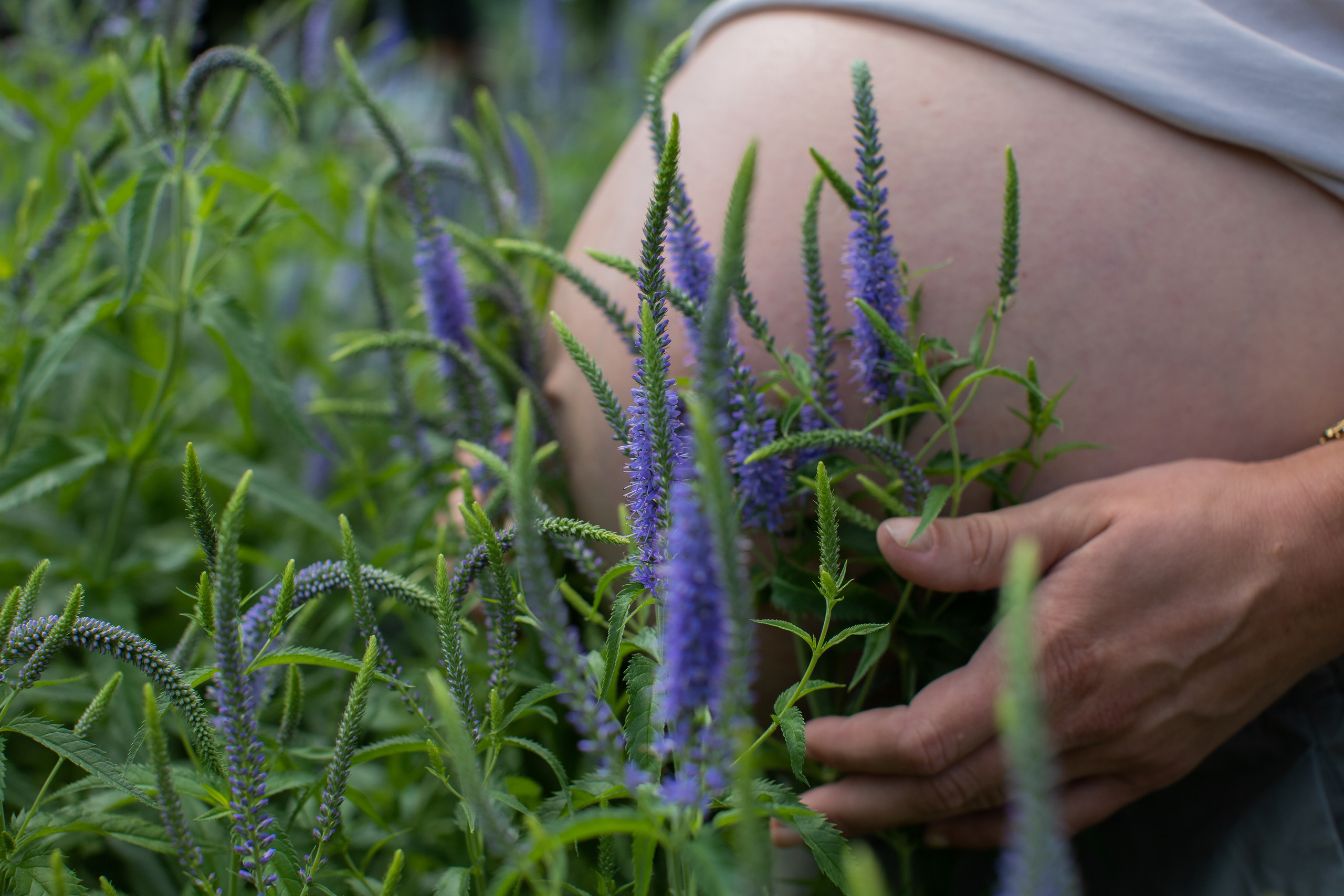 Анна. Детский и семейный фотограф Мария Киселёва. Москва