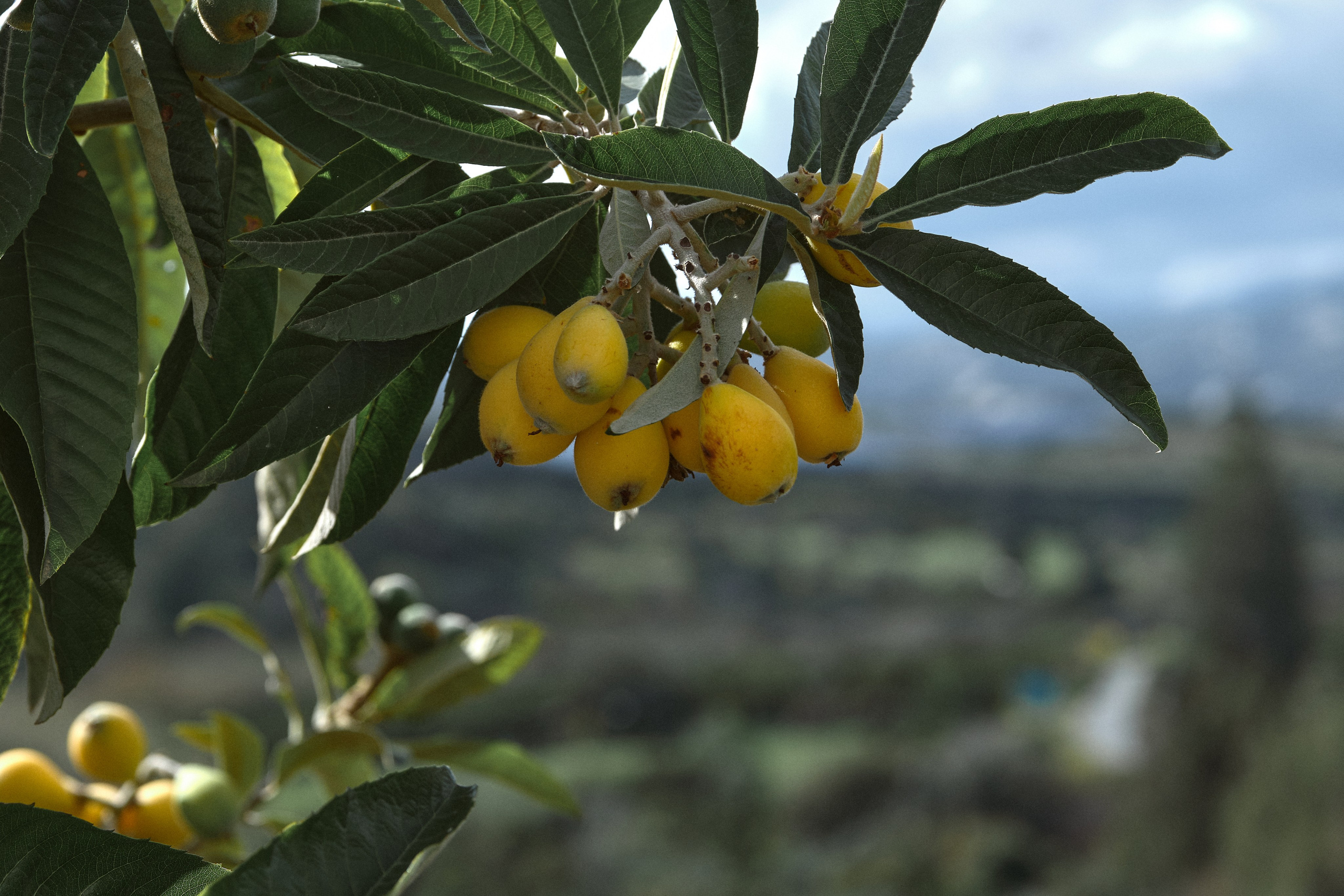 Cyprus 2024 / march. Aleksandr Kobtsev