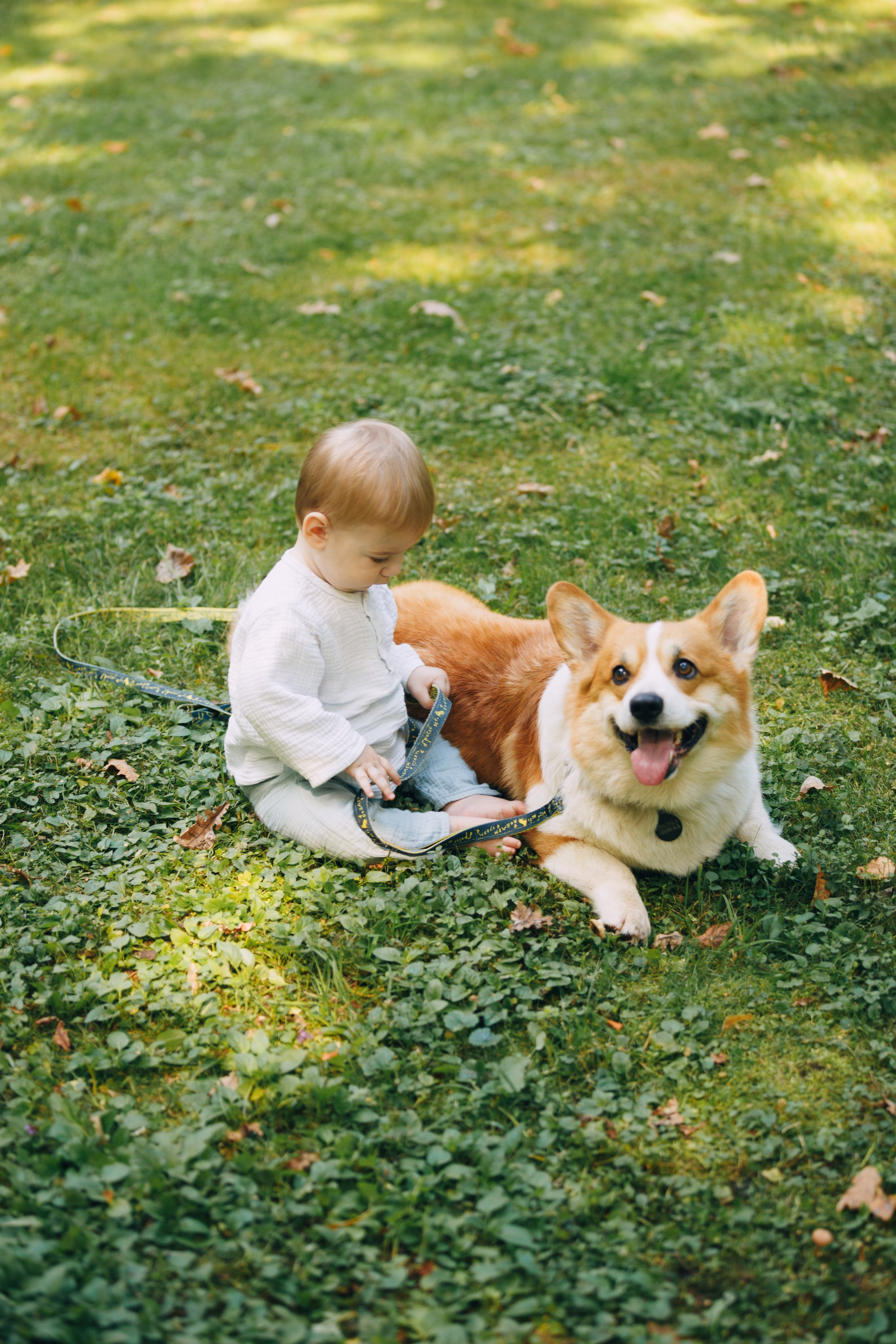 Мерф, Саша, Арсений и Андрей. Фотограф анималист Кристина Карпова, Москва