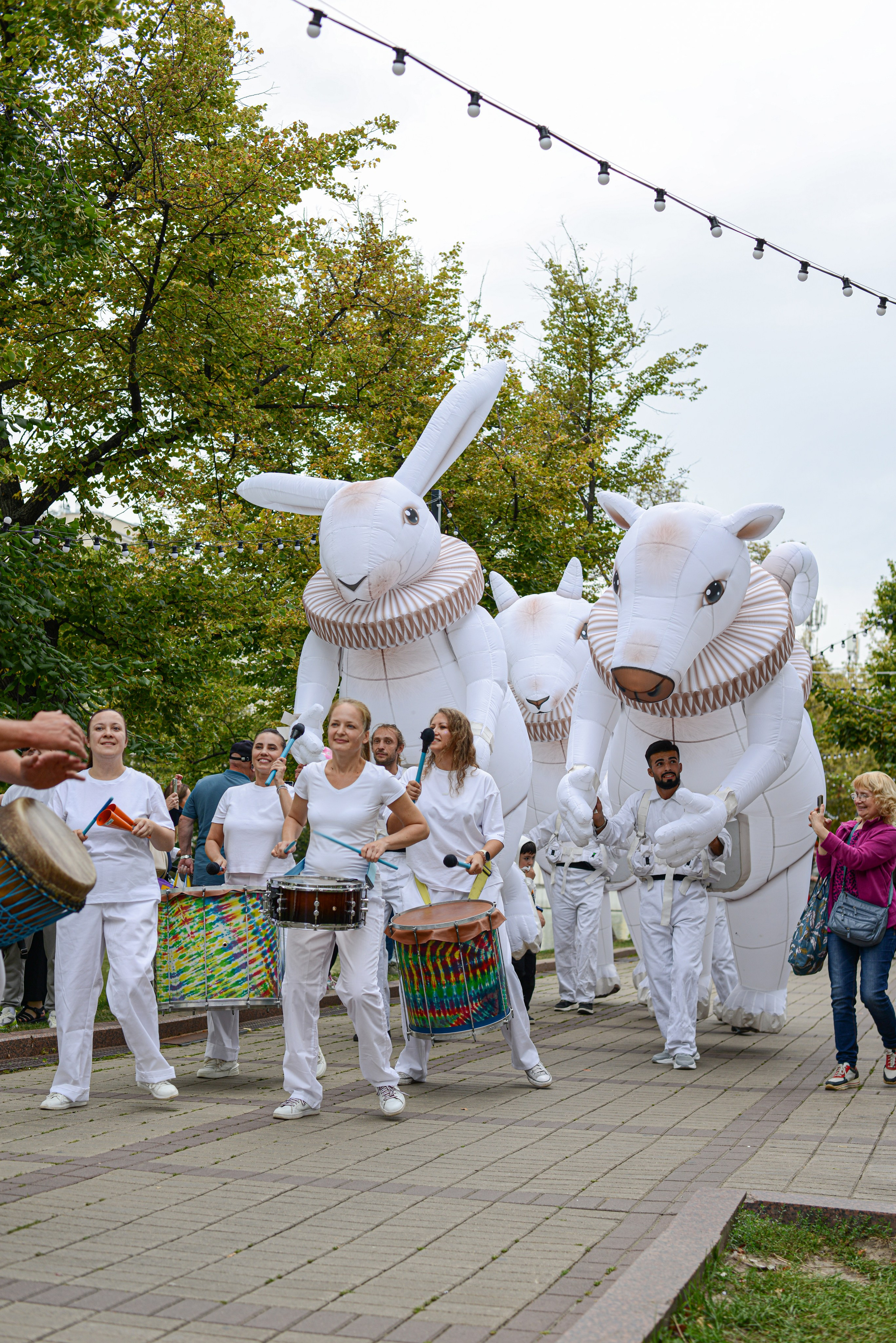 Барабанщики и зайчики. Rystemys Picture