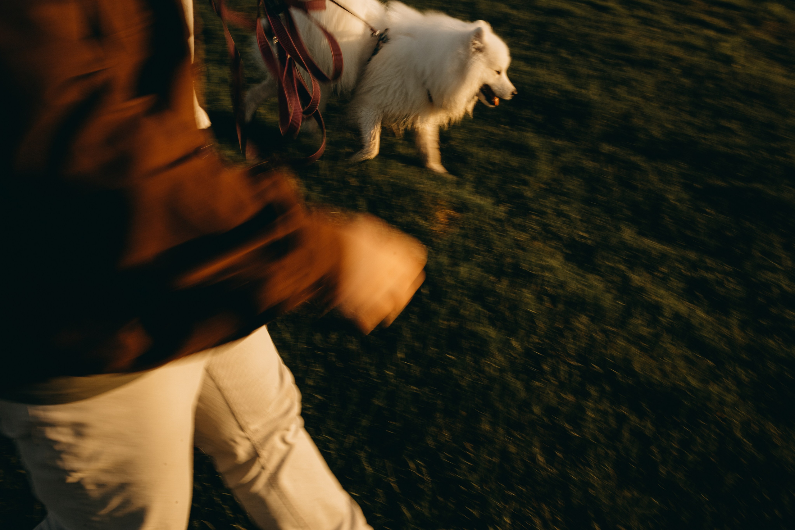 Танго и его семья. Фотограф — Анималист | Санкт-Петербург