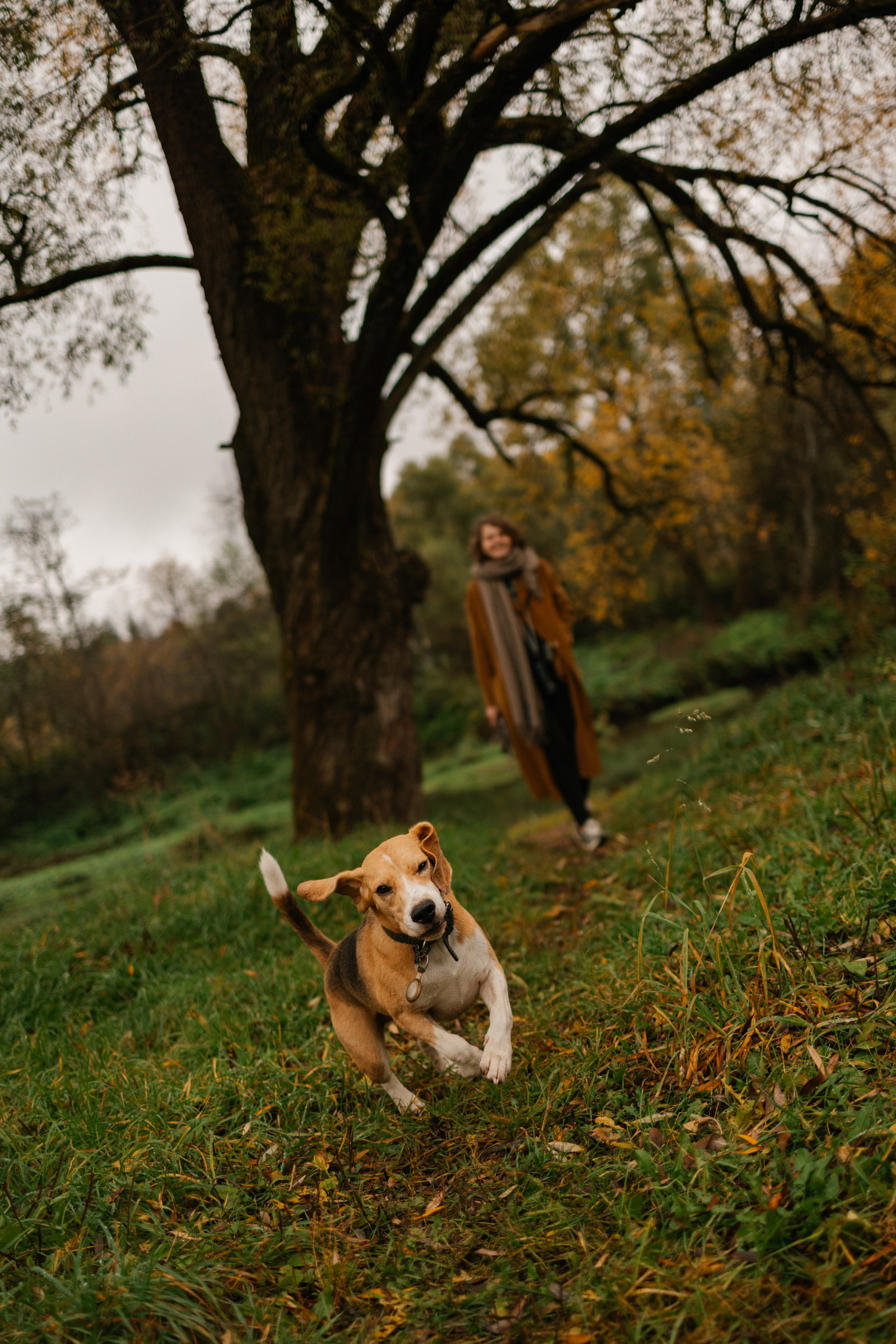 Лена и Тайгер. Фотограф — Анималист | Санкт-Петербург
