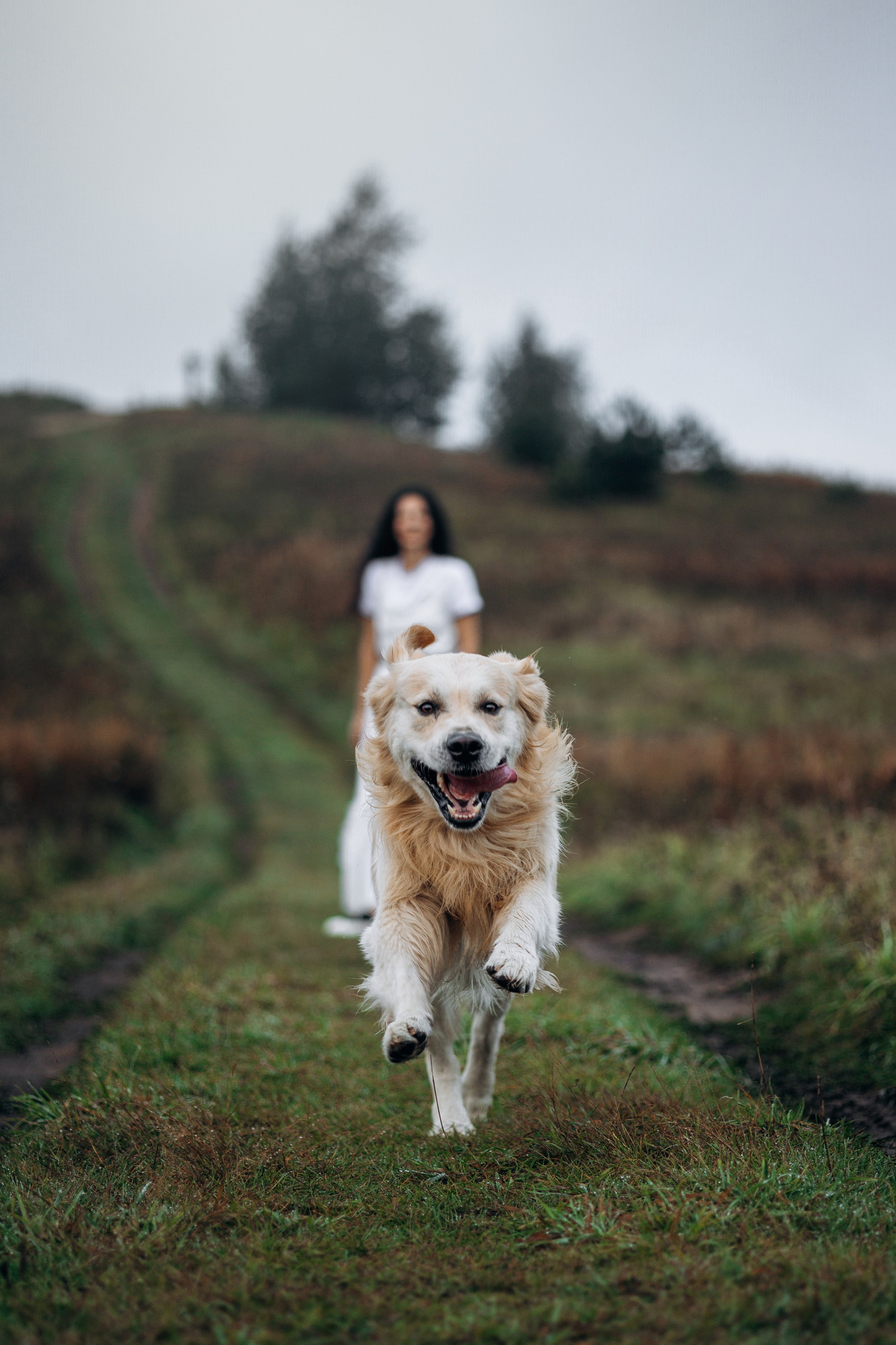 Лёва и его семья. Фотограф — Анималист | Санкт-Петербург