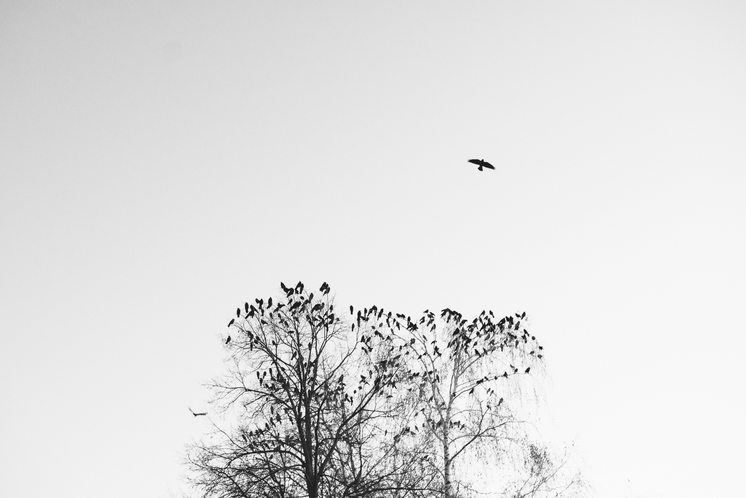 ДУША. Семейный и newborn фотограф в Уфе Елена Сакурова