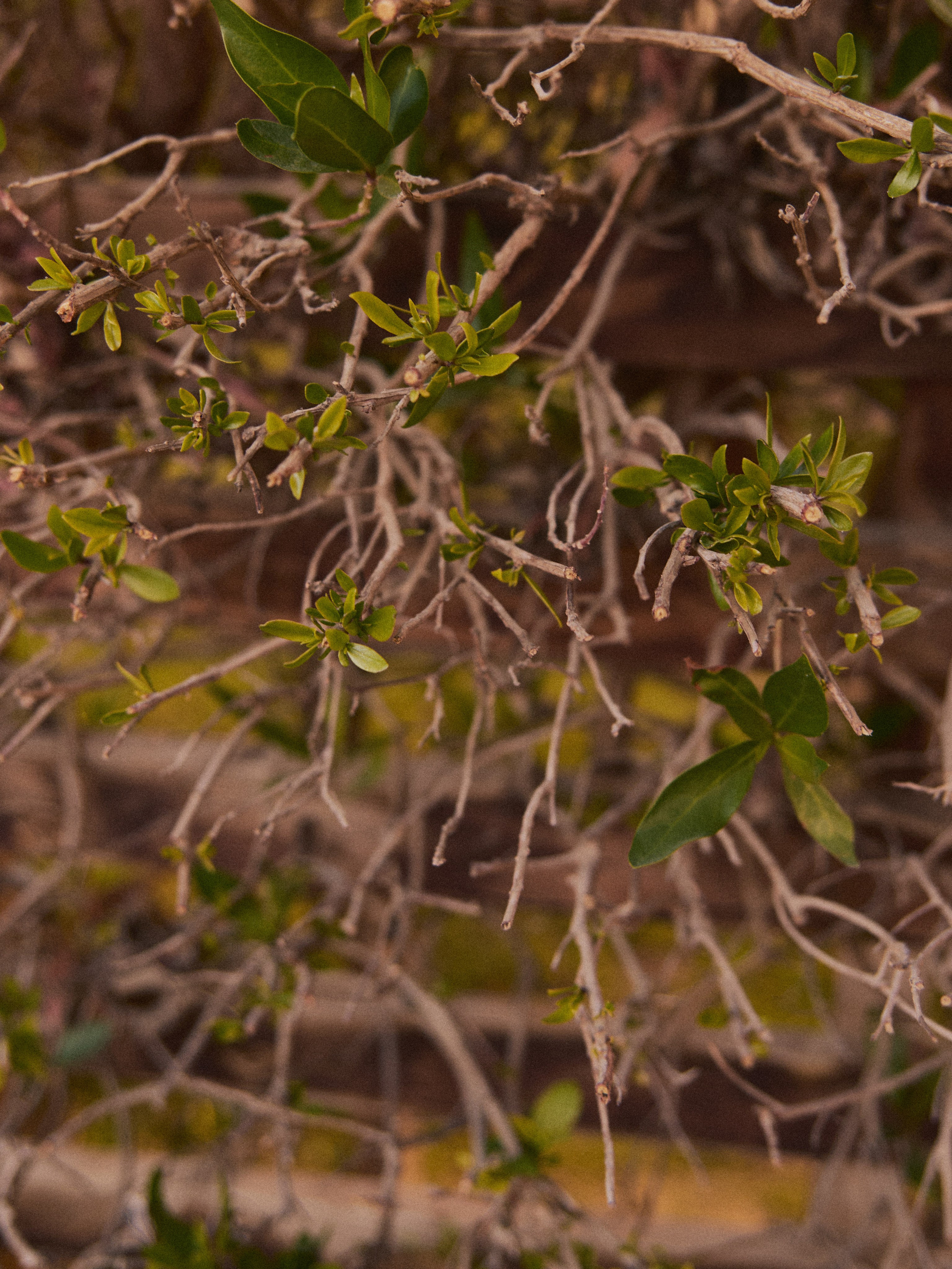 Природа. Jorgis Talè — photographer, kind person, teacher of arts and other mag