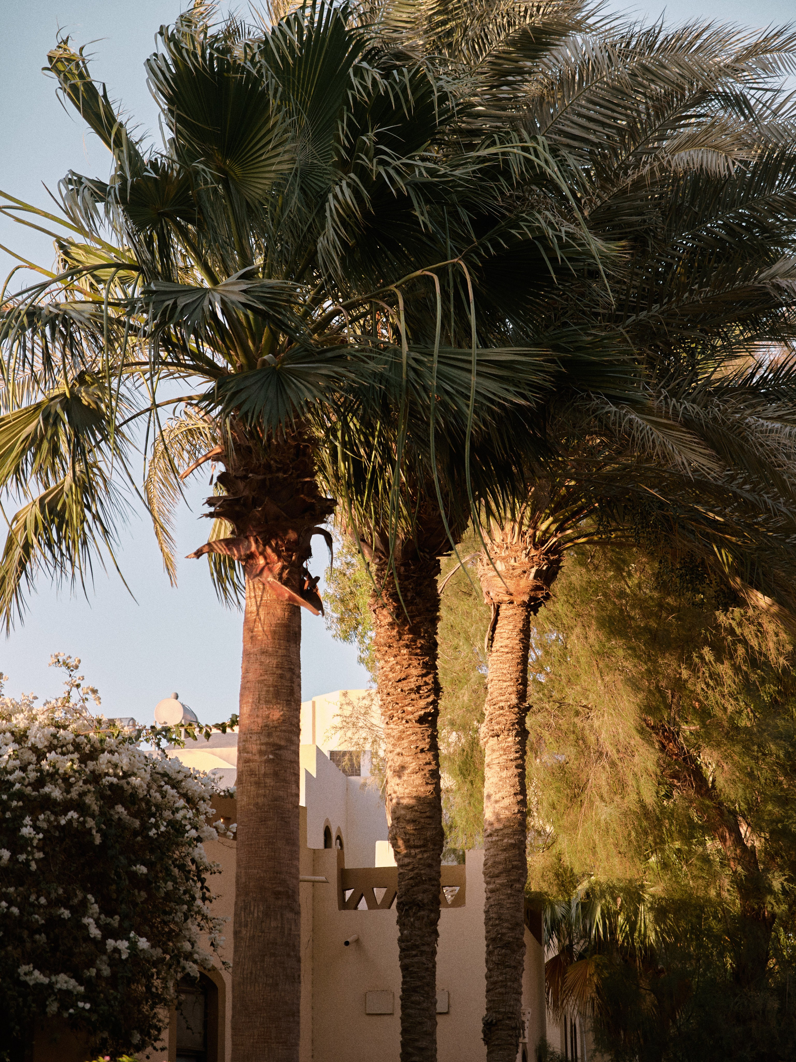 Природа сквозь. Jorgis Talè — photographer, kind person, teacher of arts and other mag