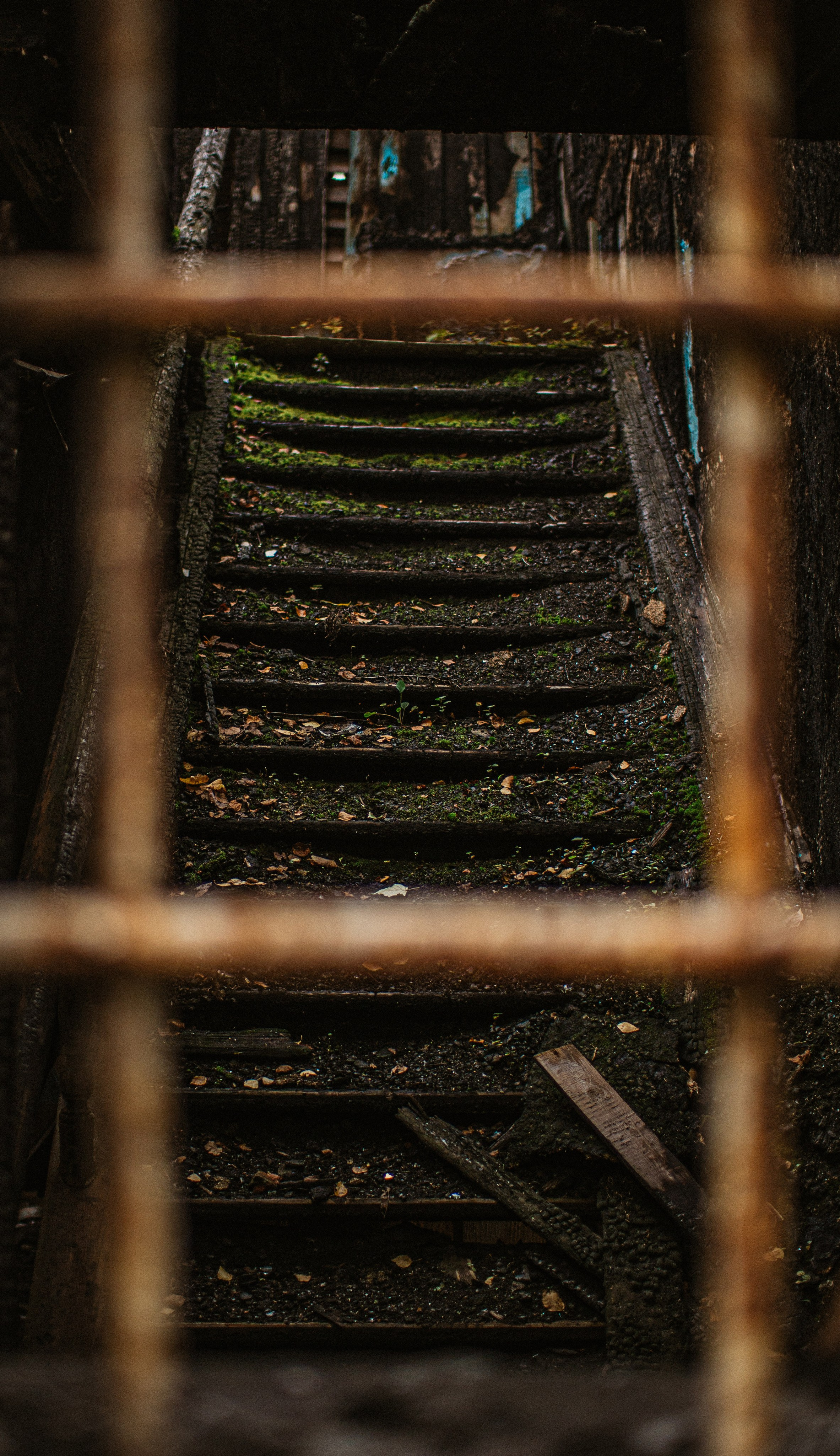 Автопутешествие по России на Range Rover, Discovery , Defender. Жуков Илья  свадебный фотограф в Москве