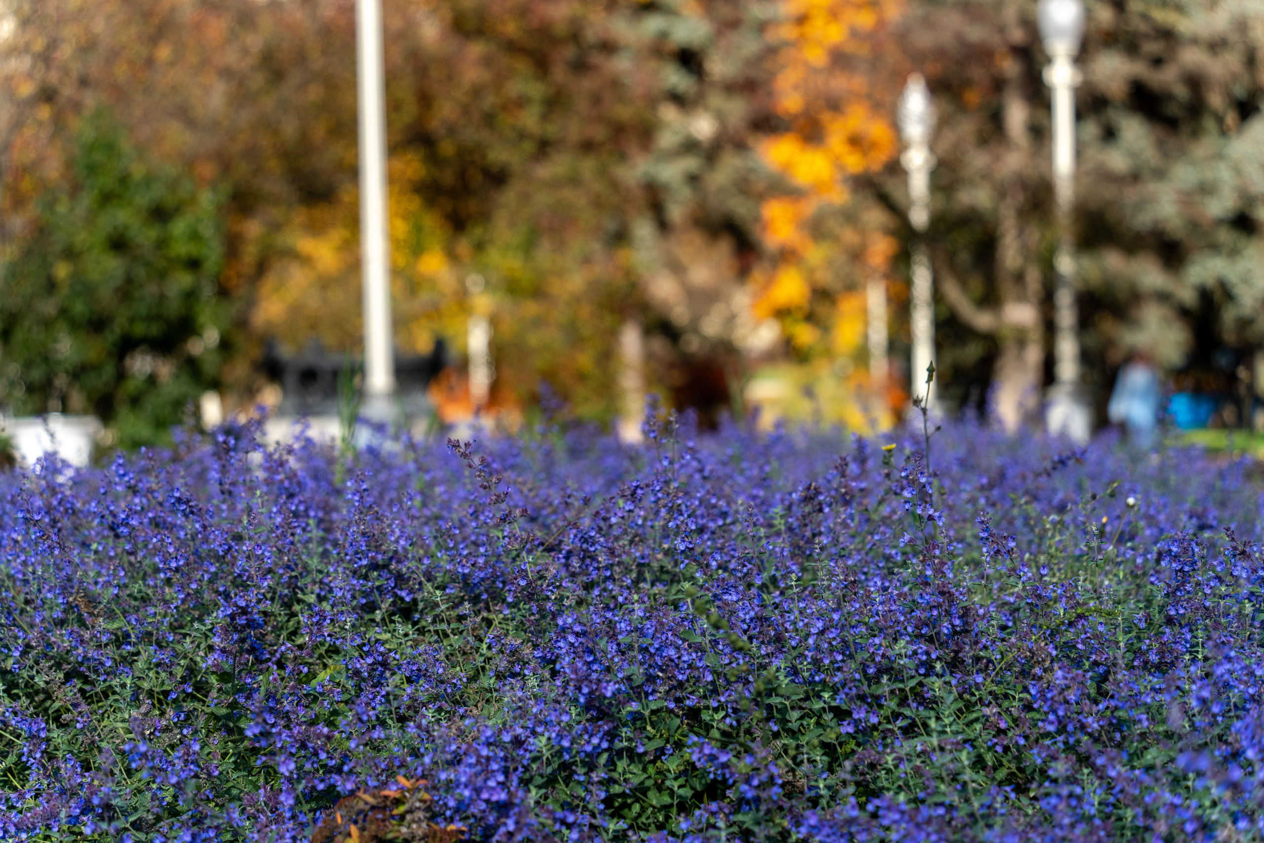 20251012 МГУ. Дмитрий Ремизов. Фотография, как хобби