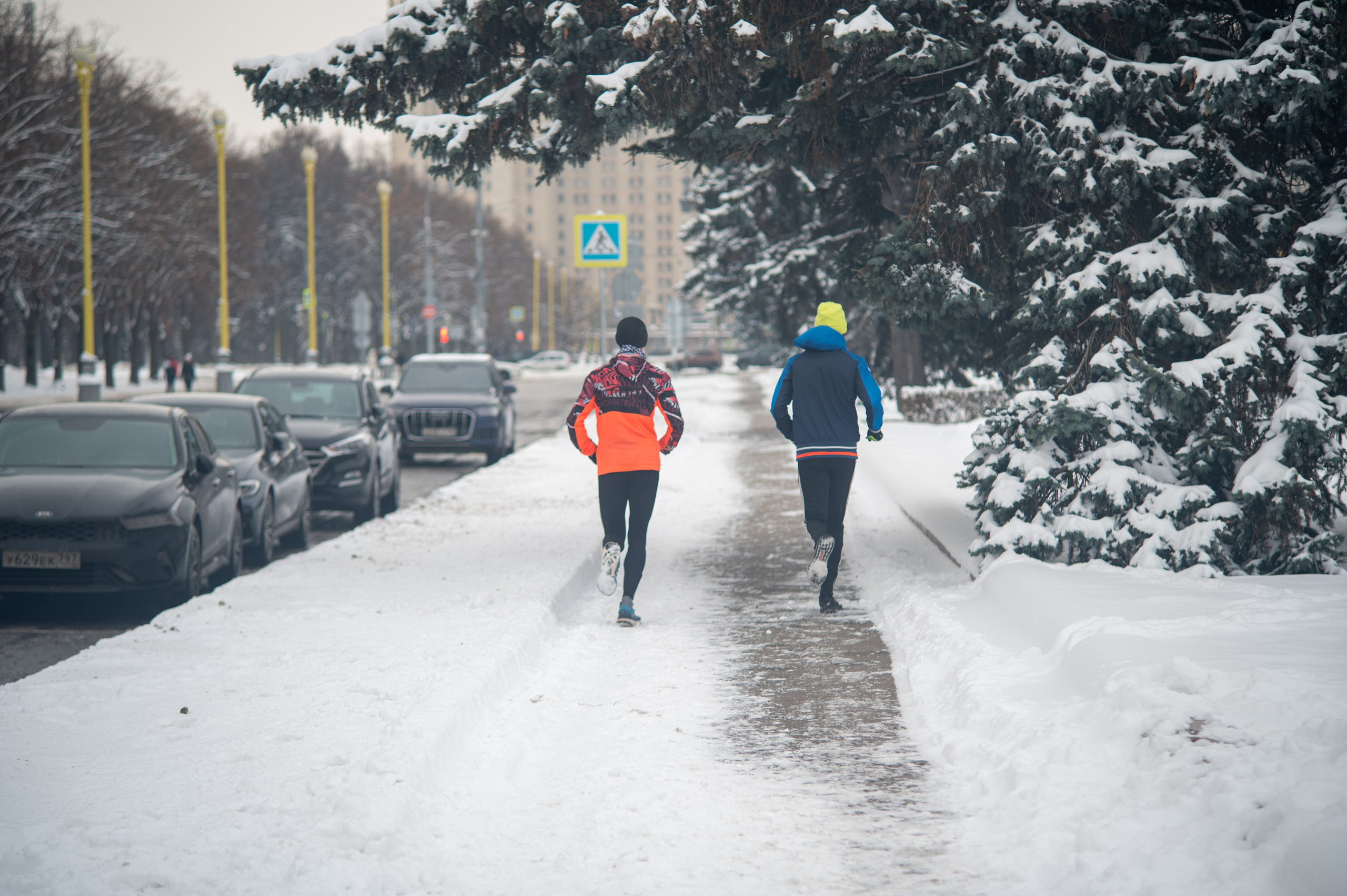 20231126 Смотровая. Дмитрий Ремизов. Фотография, как хобби
