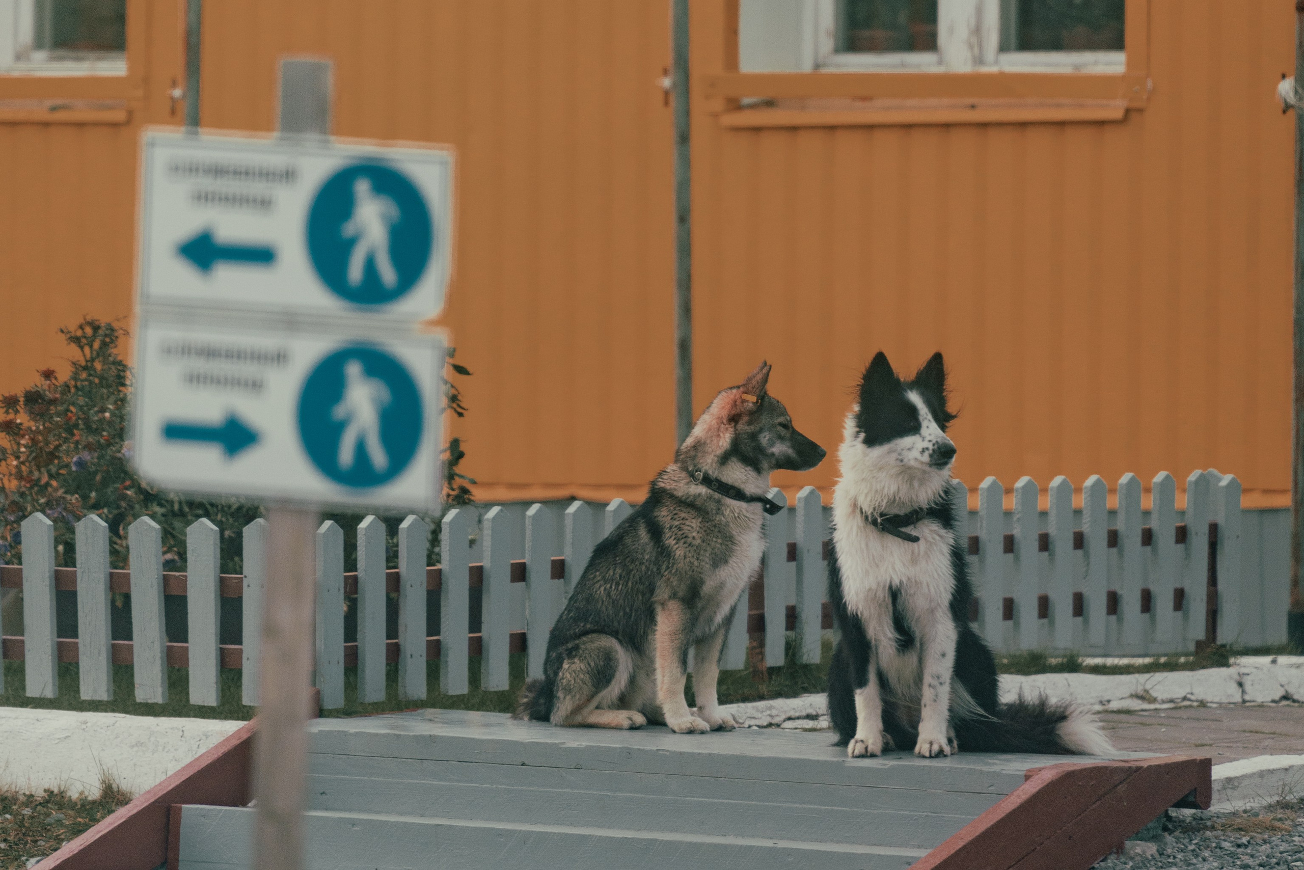 Уральские горы, Октябрь 2024