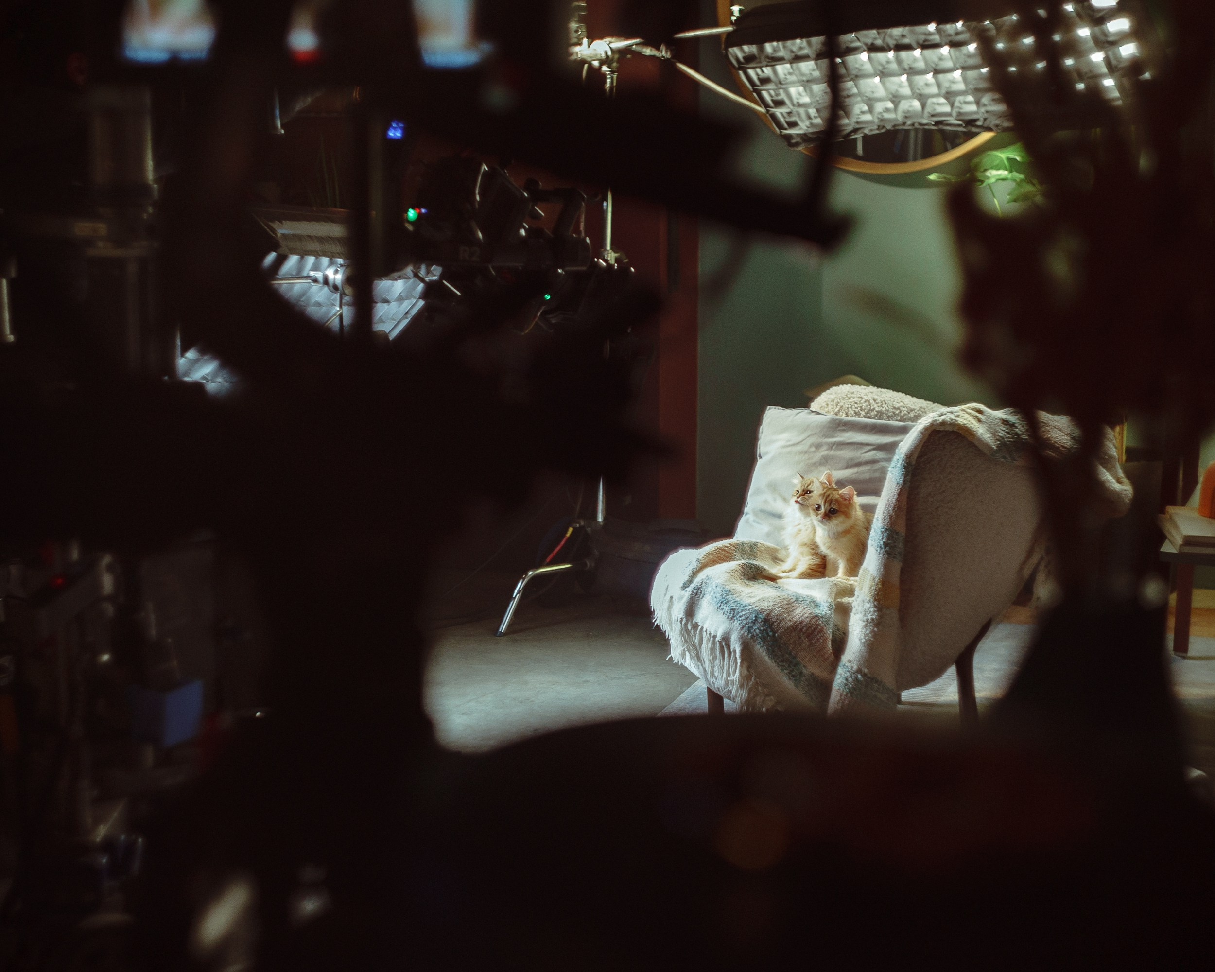 Бэкстейдж кинопроизводства, съемок рекламы. Концертный и портретный фотограф Москва и Санкт-Петербург