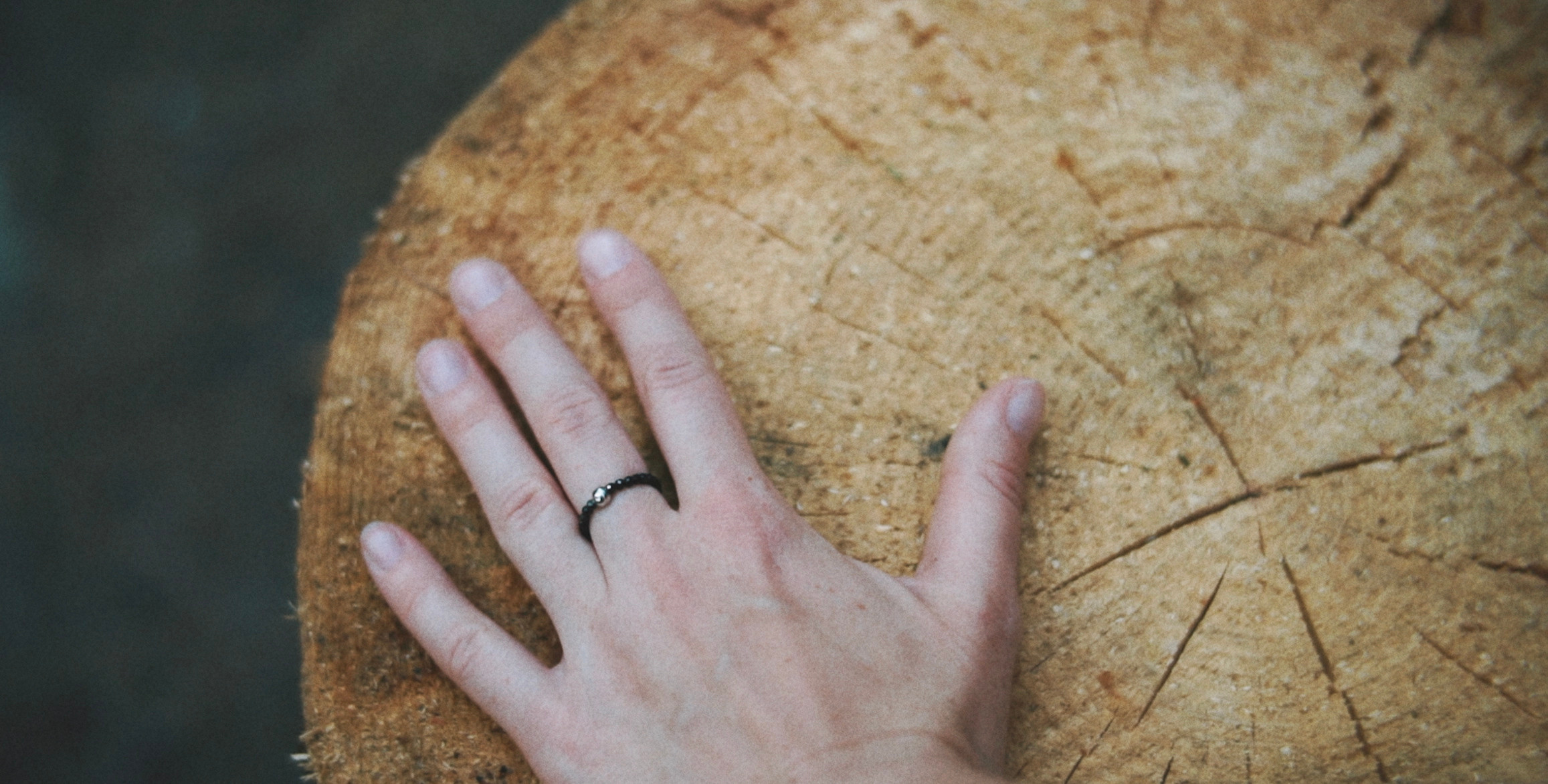 Video. Марковы: фото, видео, кино и книги