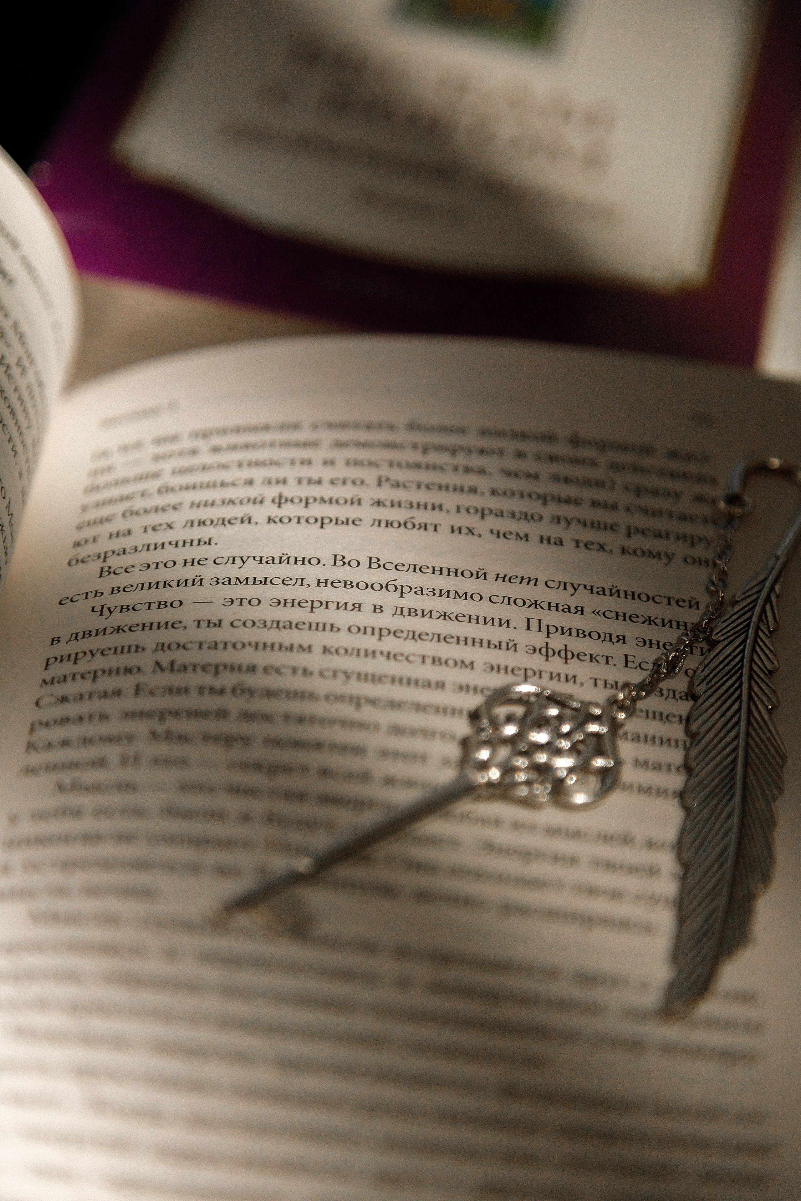 Проект «366»|2024|Фото каждый день. LENA GRACE photographer ||ЛЕНА ГРЭЙС фотограф