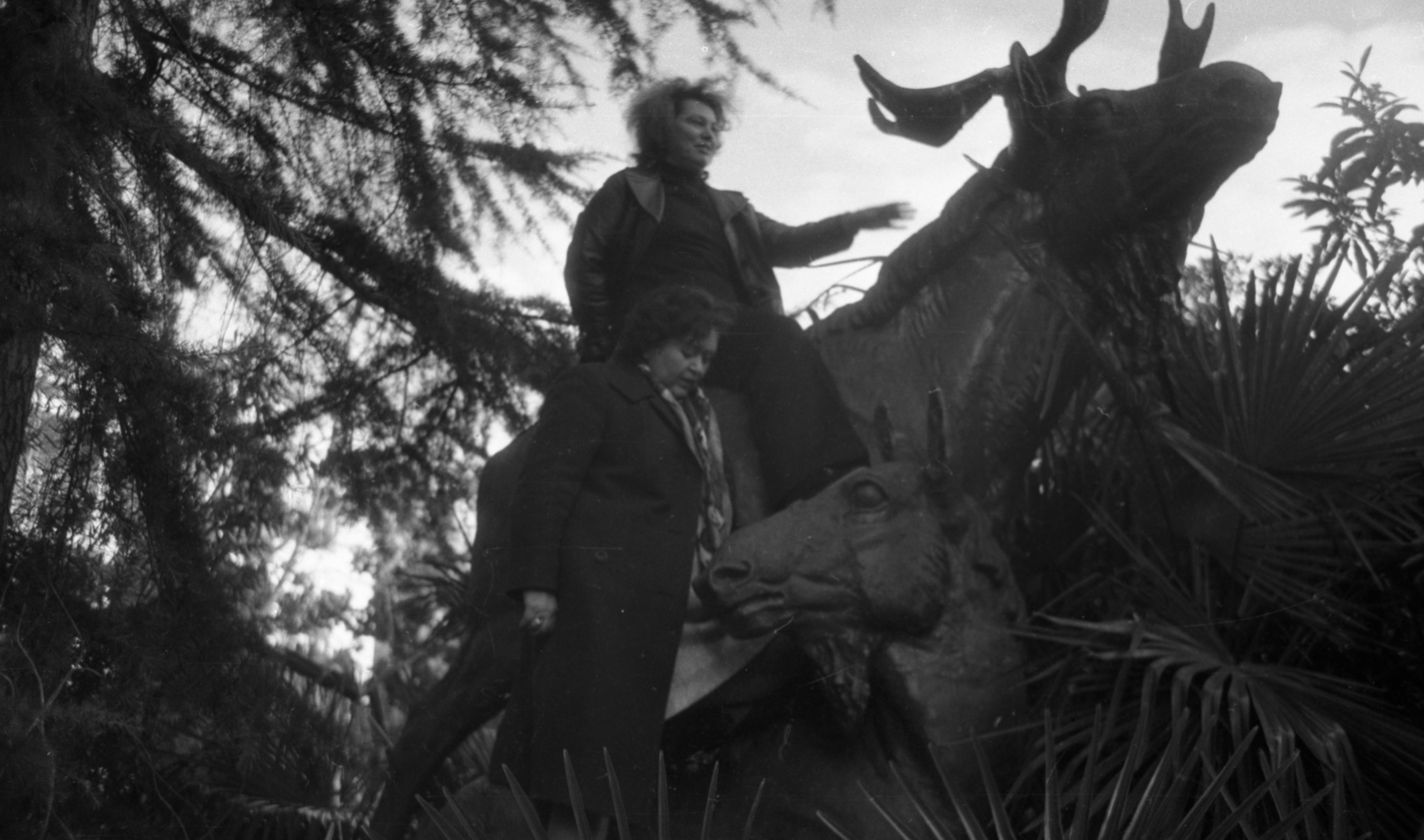 СААКОВЫ. Курортное дело