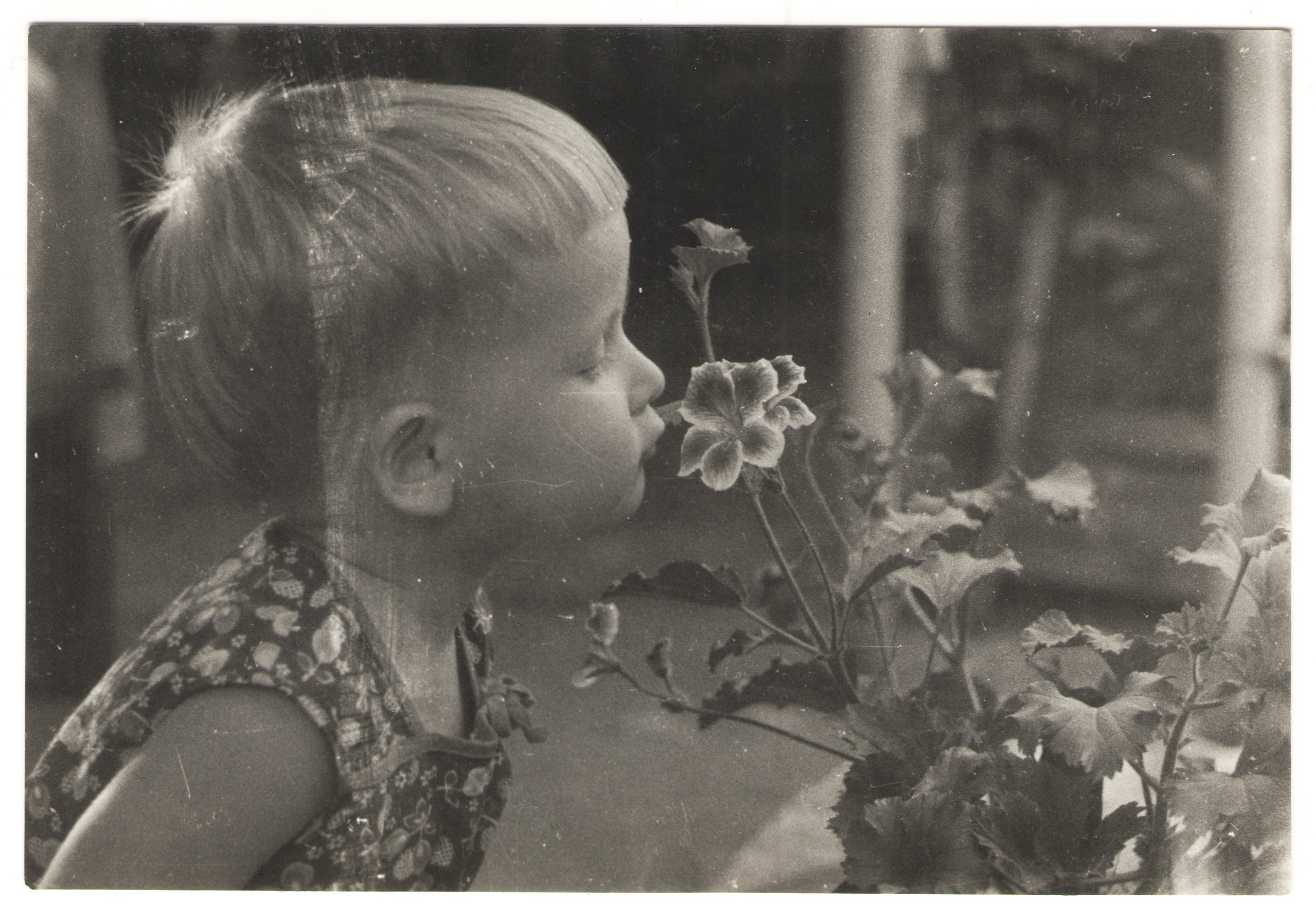 ОСУТИН. Курортное дело