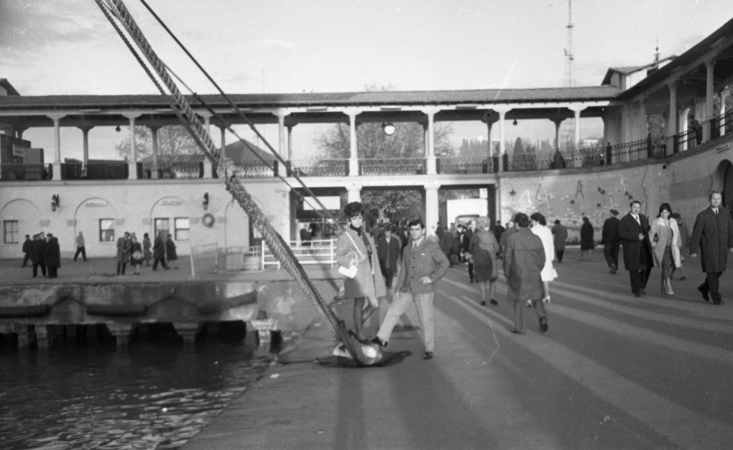 СААКОВЫ. Курортное дело