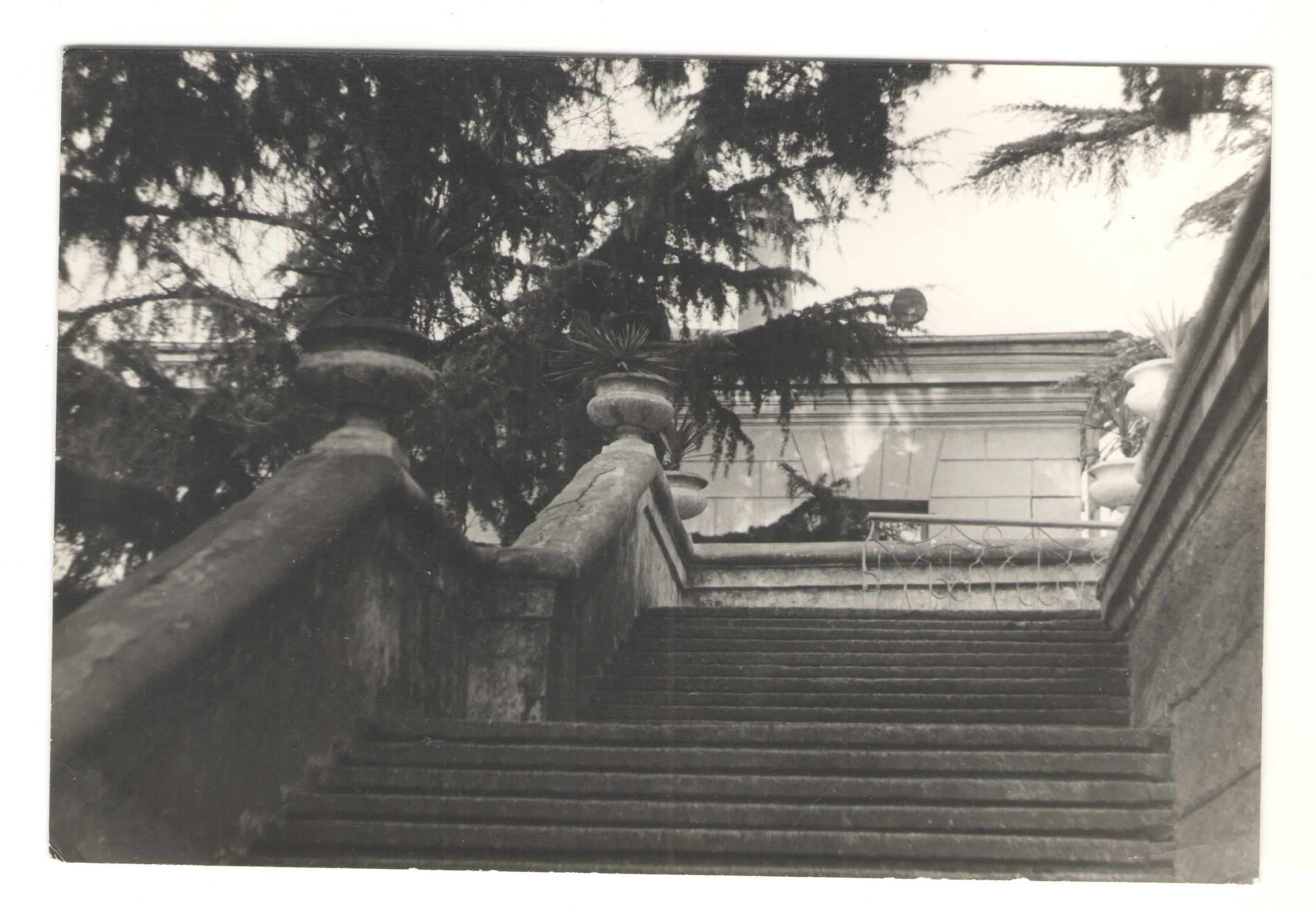 ОСУТИН. Курортное дело