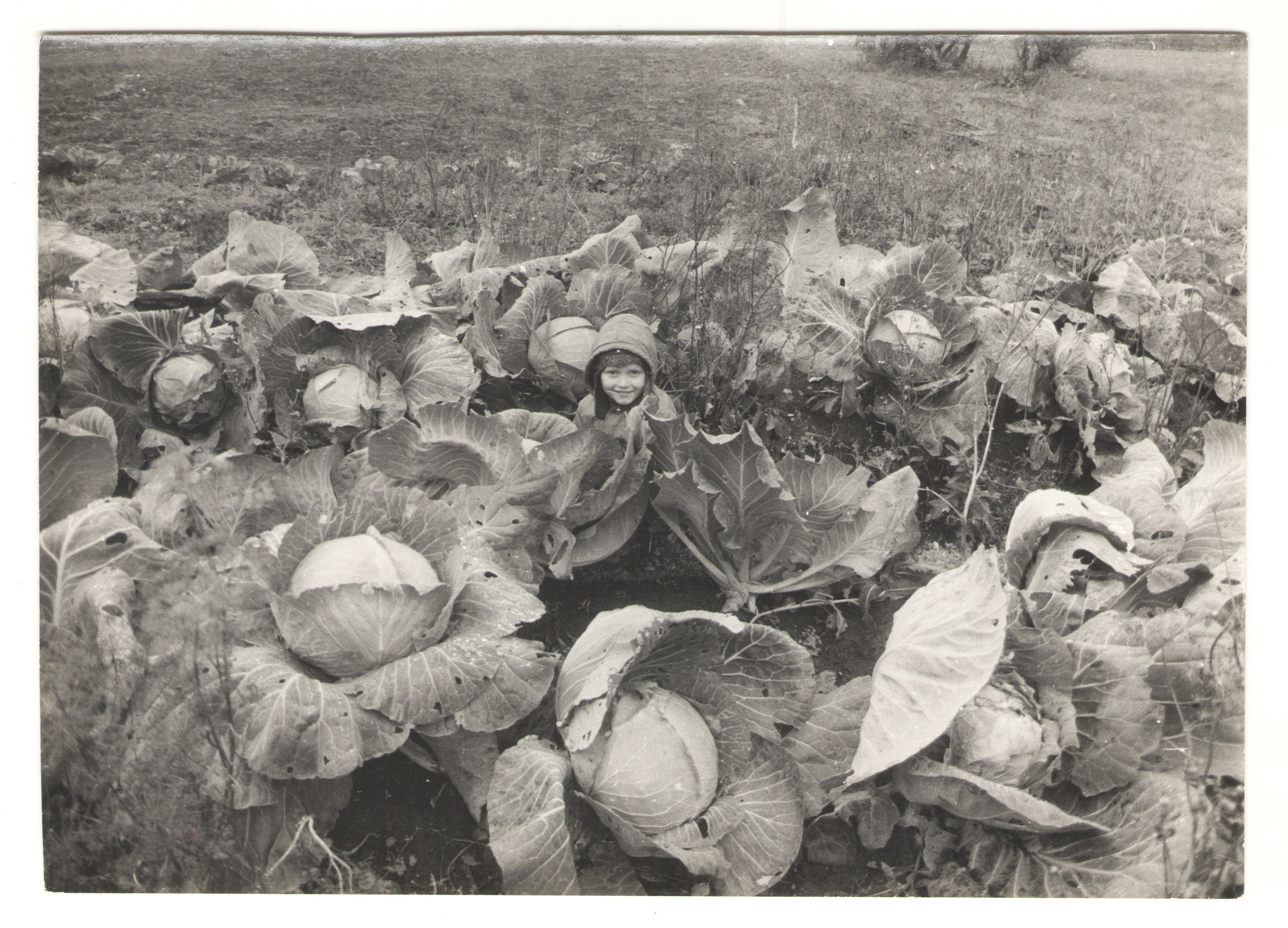 ОСУТИН. Курортное дело