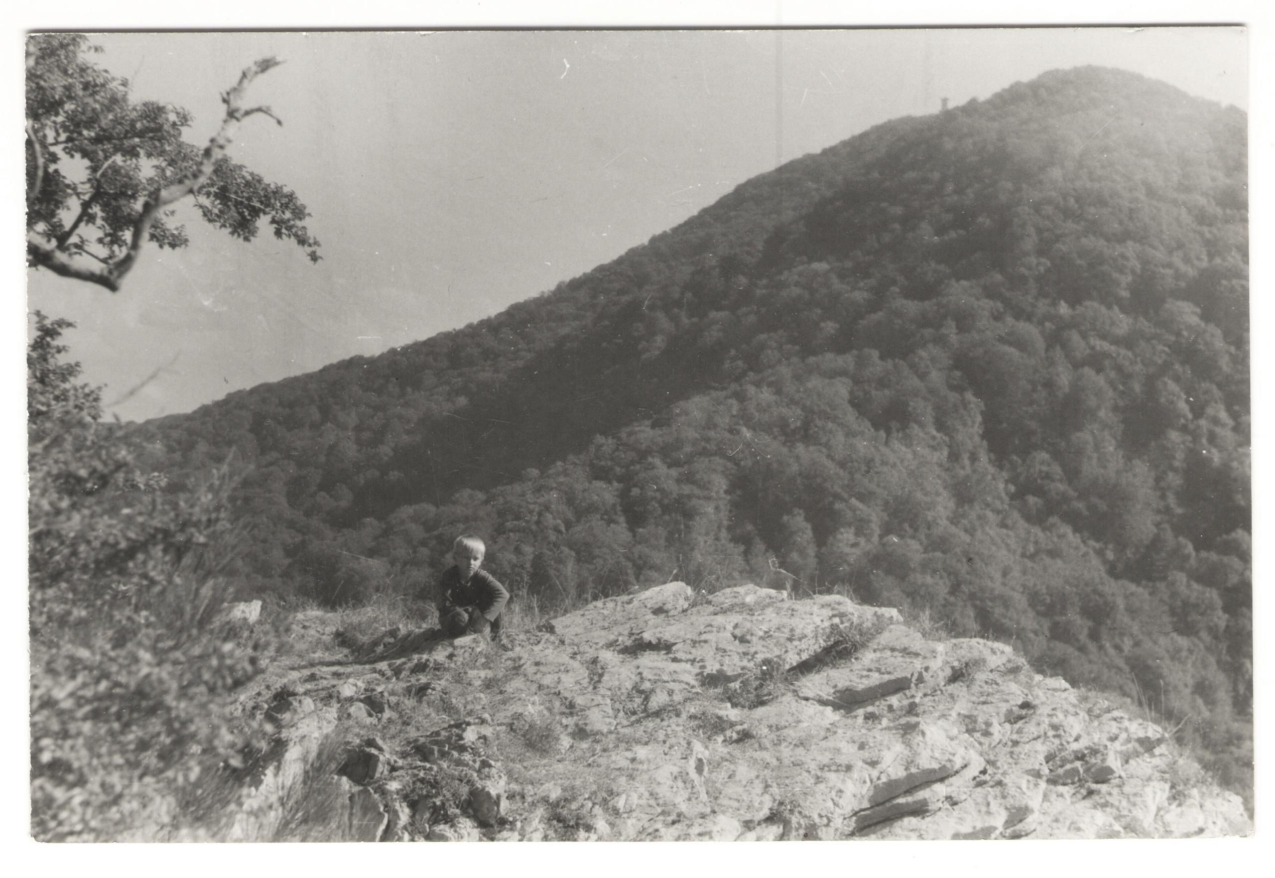 ОСУТИН. Курортное дело