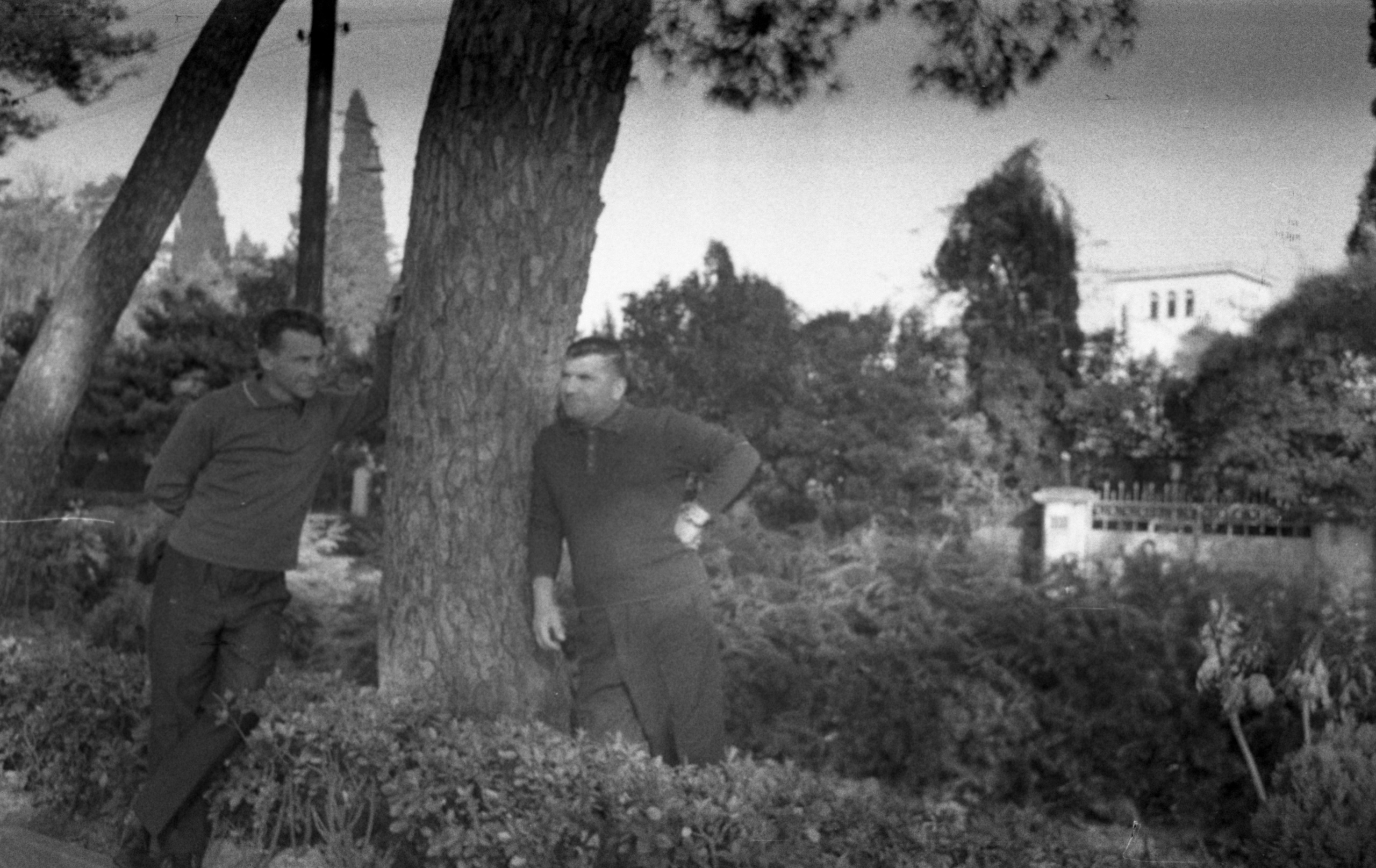 СААКОВЫ. Курортное дело