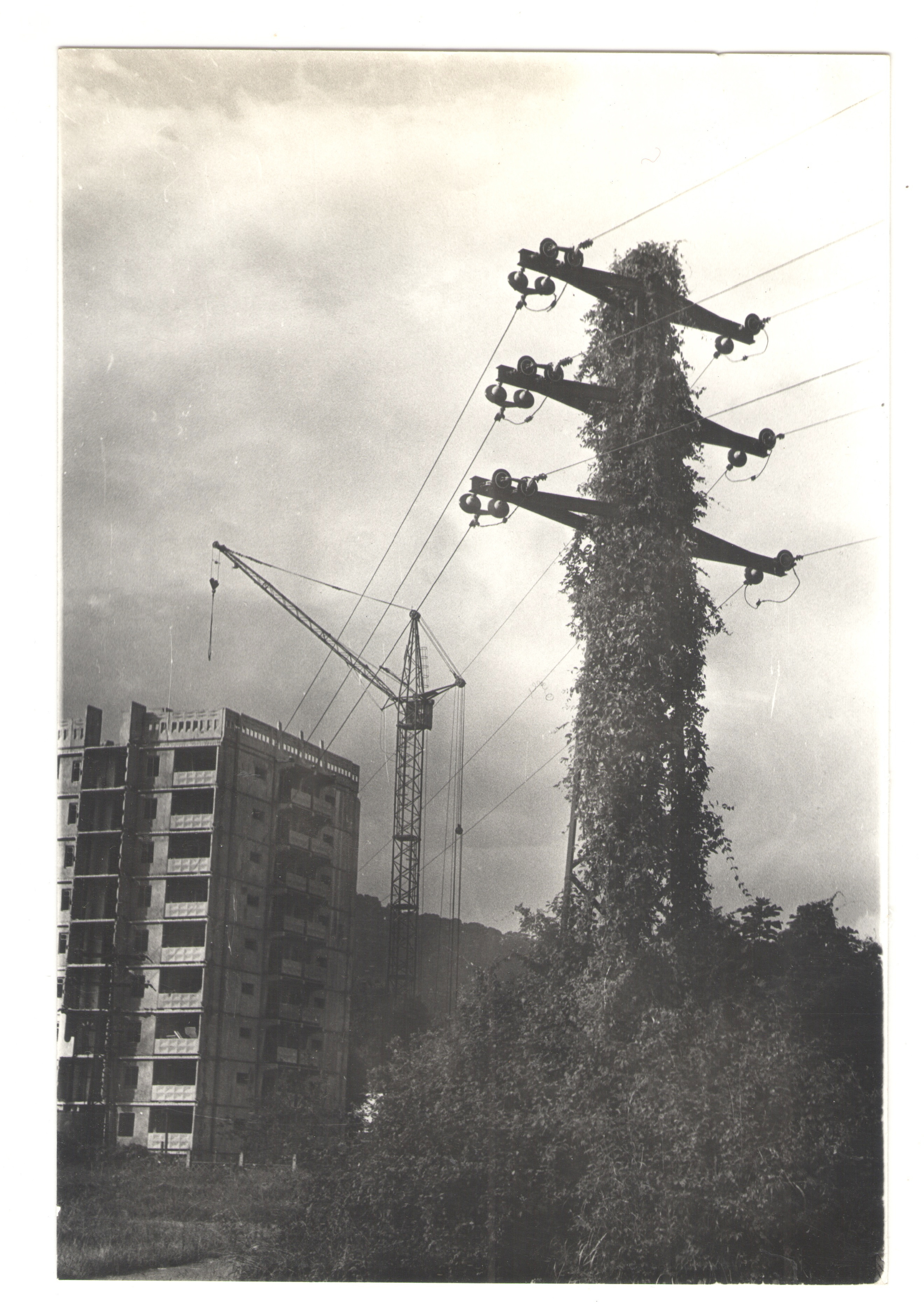 ОСУТИН. Курортное дело