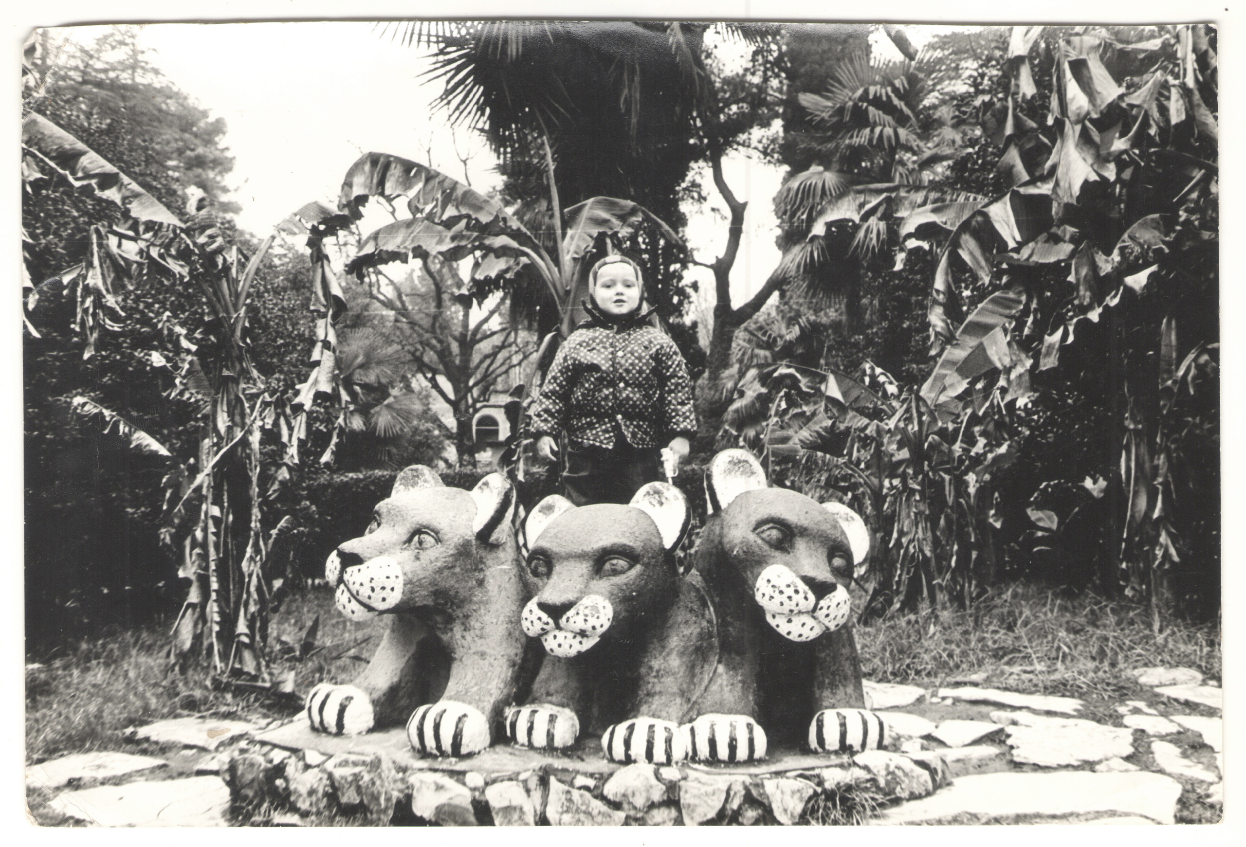 ОСУТИН. Курортное дело