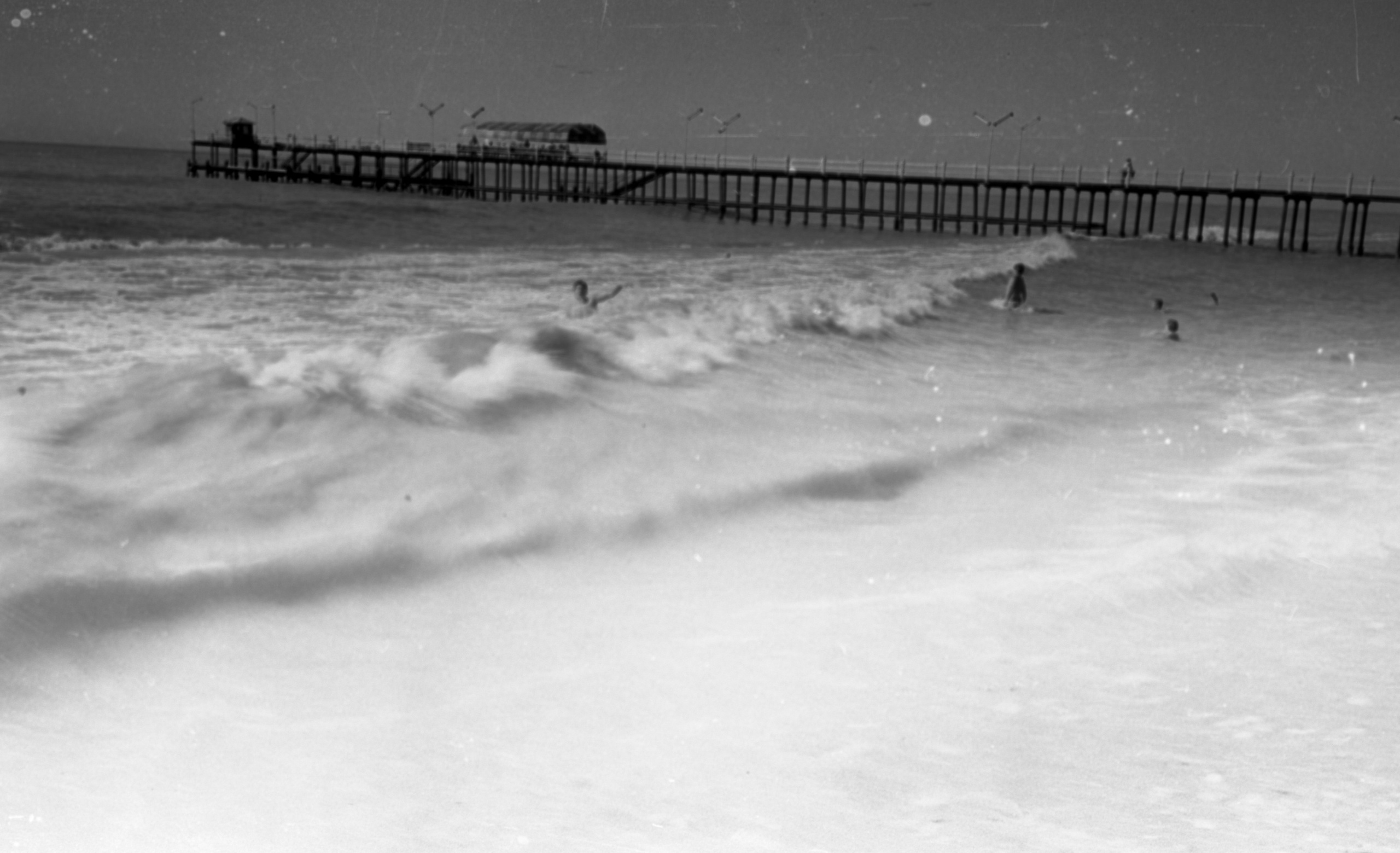 СААКОВЫ. Курортное дело