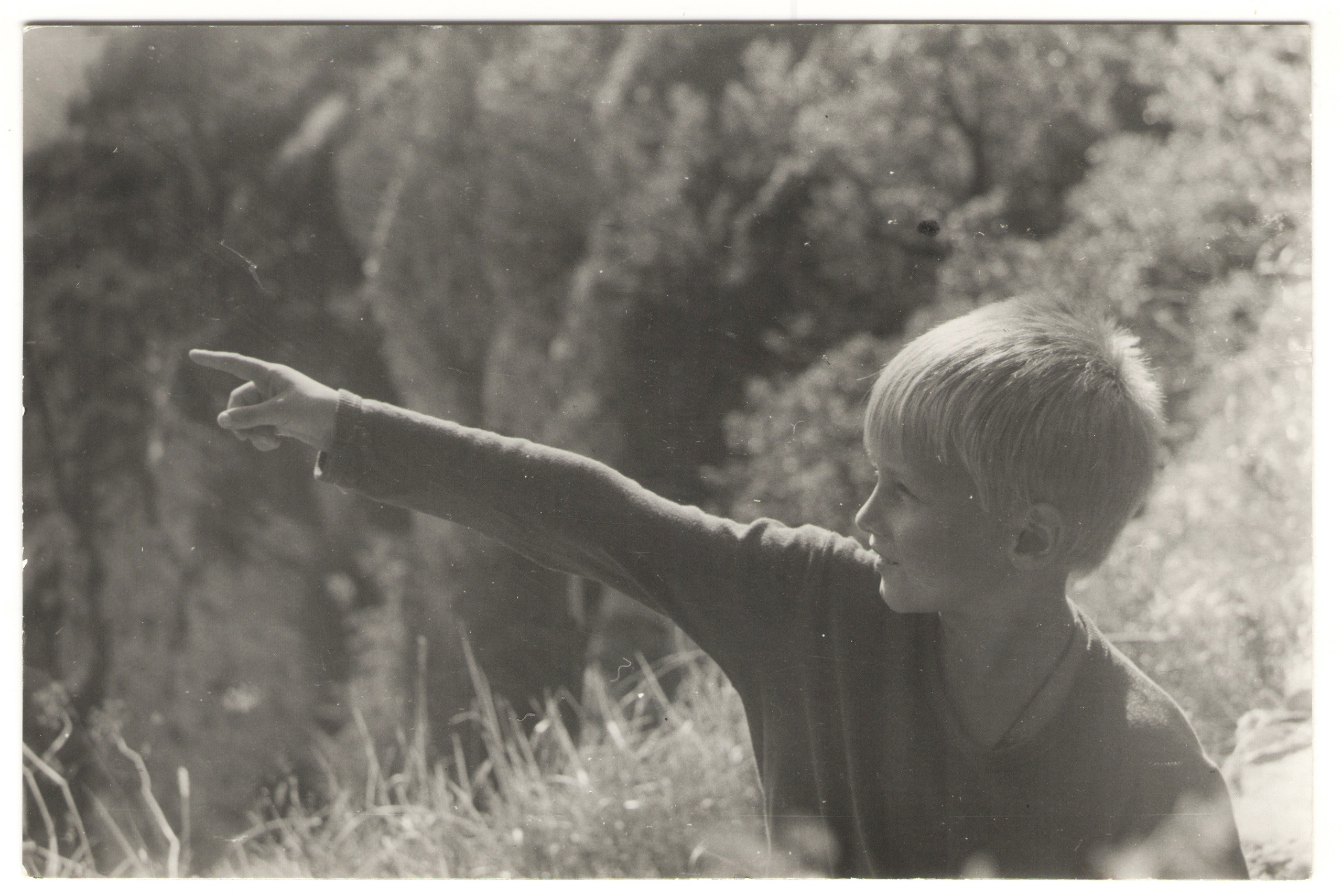 ОСУТИН. Курортное дело