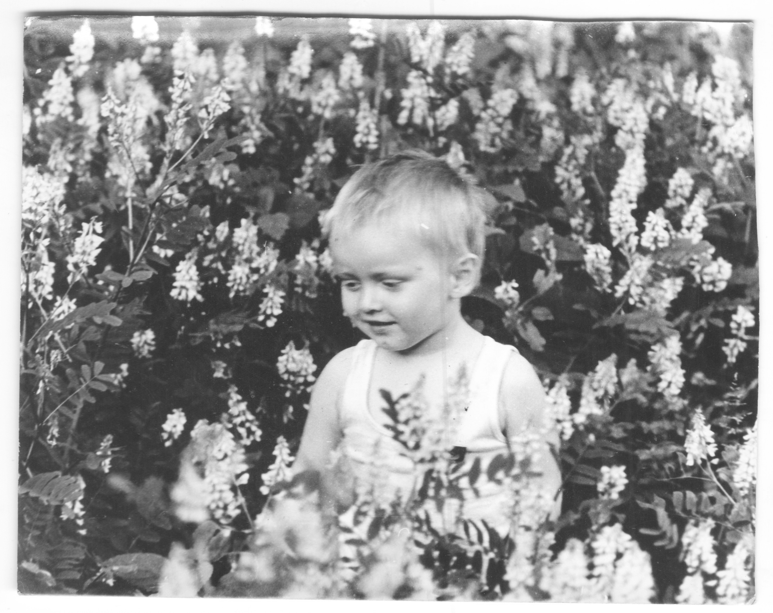 ОСУТИН. Курортное дело