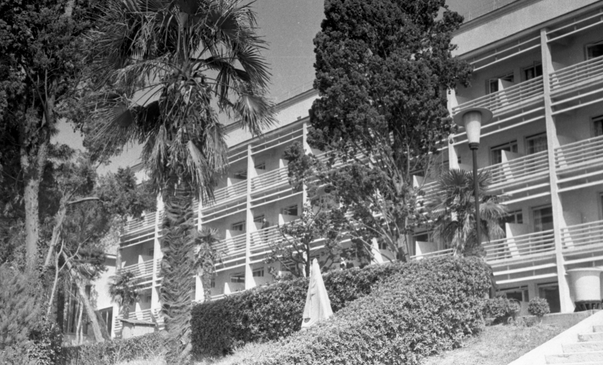 СААКОВЫ. Курортное дело