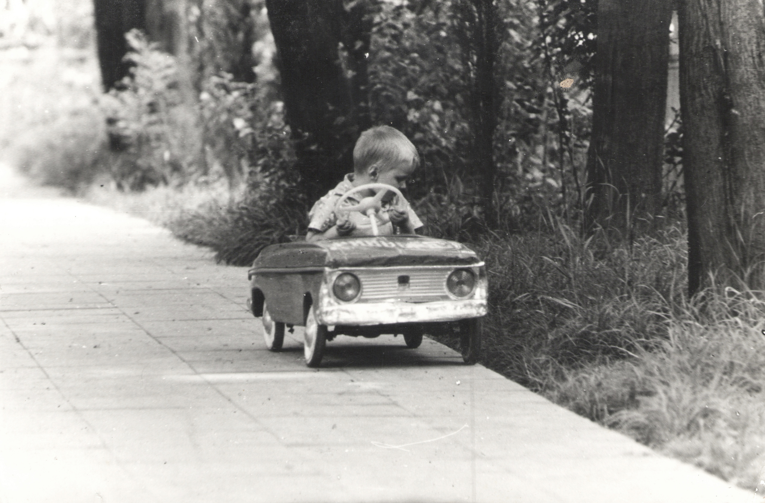 ОСУТИН. Курортное дело