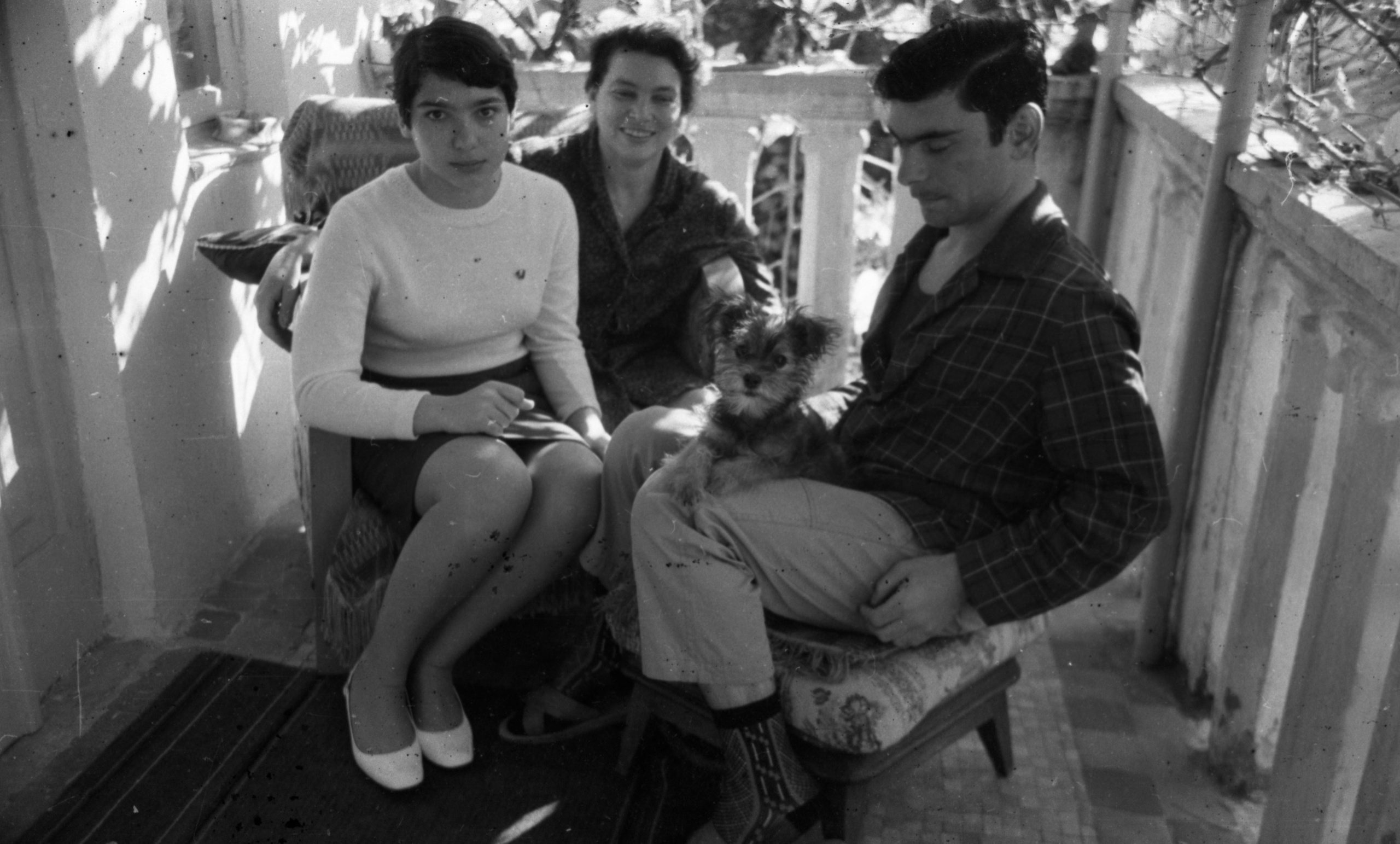 СААКОВЫ. Курортное дело