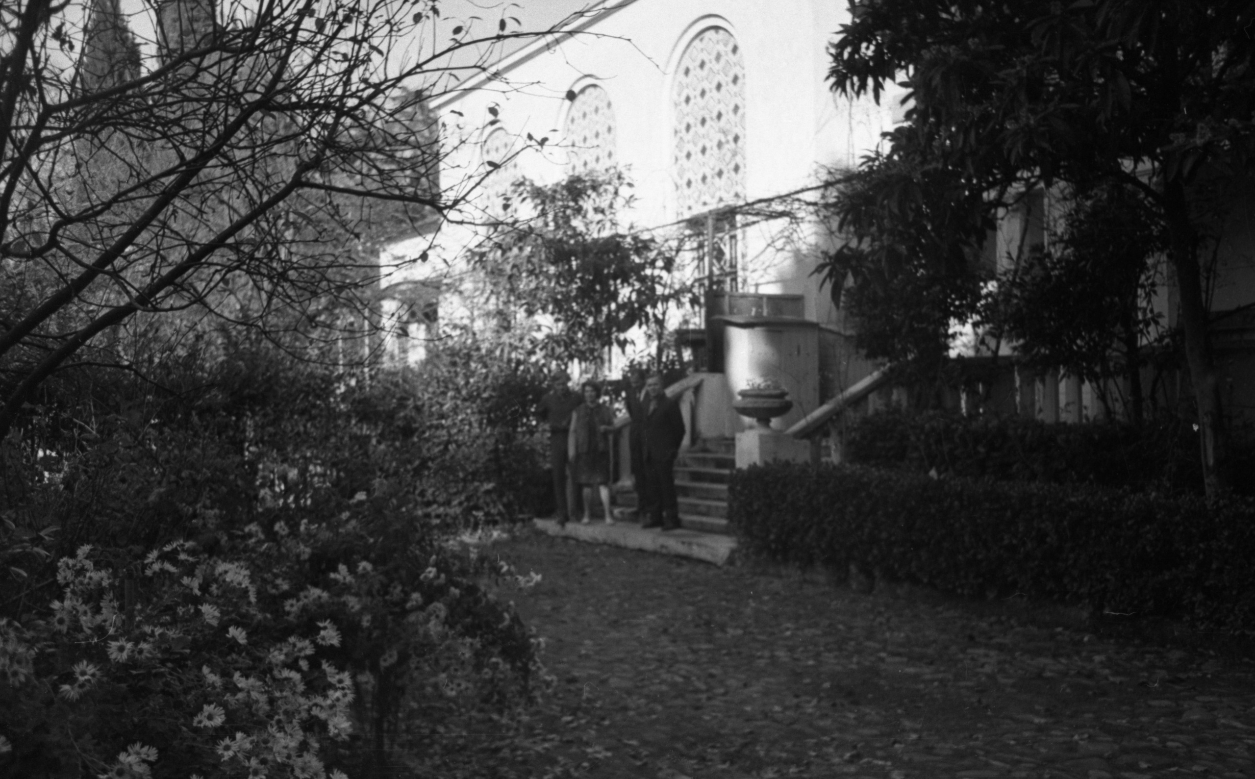 СААКОВЫ. Курортное дело