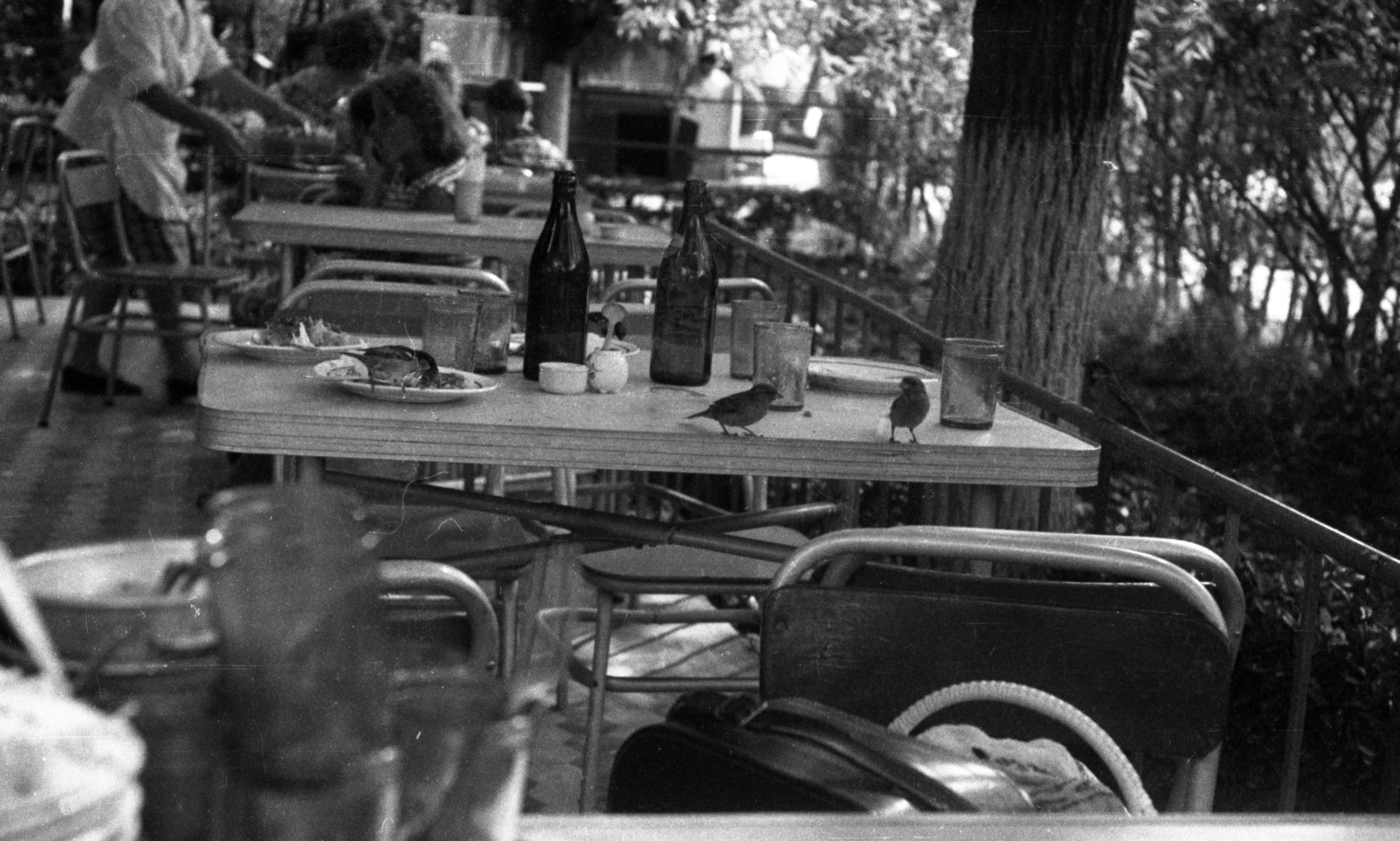 СААКОВЫ. Курортное дело